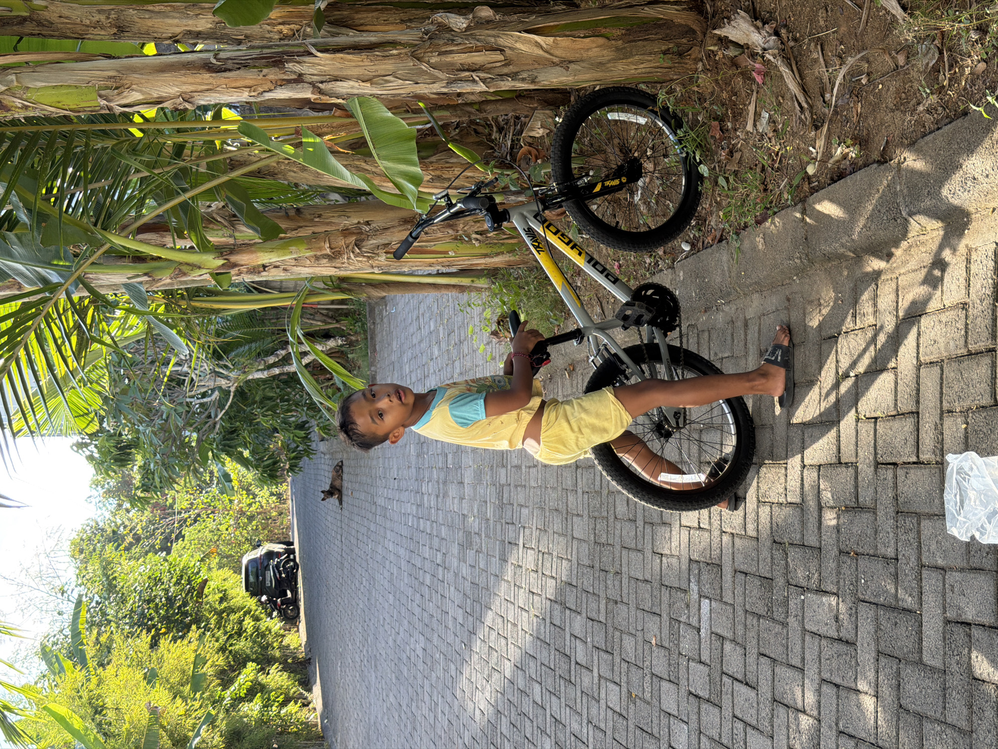 A young boy stands with a bicycle on a paved pathway in Kuta Selatan, Indonesia. The boy, wearing a yellow t-shirt with blue trim and yellow shorts, is looking towards the camera. The bicycle, a gray and yellow Polygon Travis, is leaning against a cluster of banana trees. The pathway is made of interlocking brick pavers, and the area is lush with tropical vegetation, including palm and banana trees. In the background, a car and a motorcycle are parked on the pathway, and a dog is lying down on the ground. The scene is bathed in bright sunlight, casting shadows on the pathway.