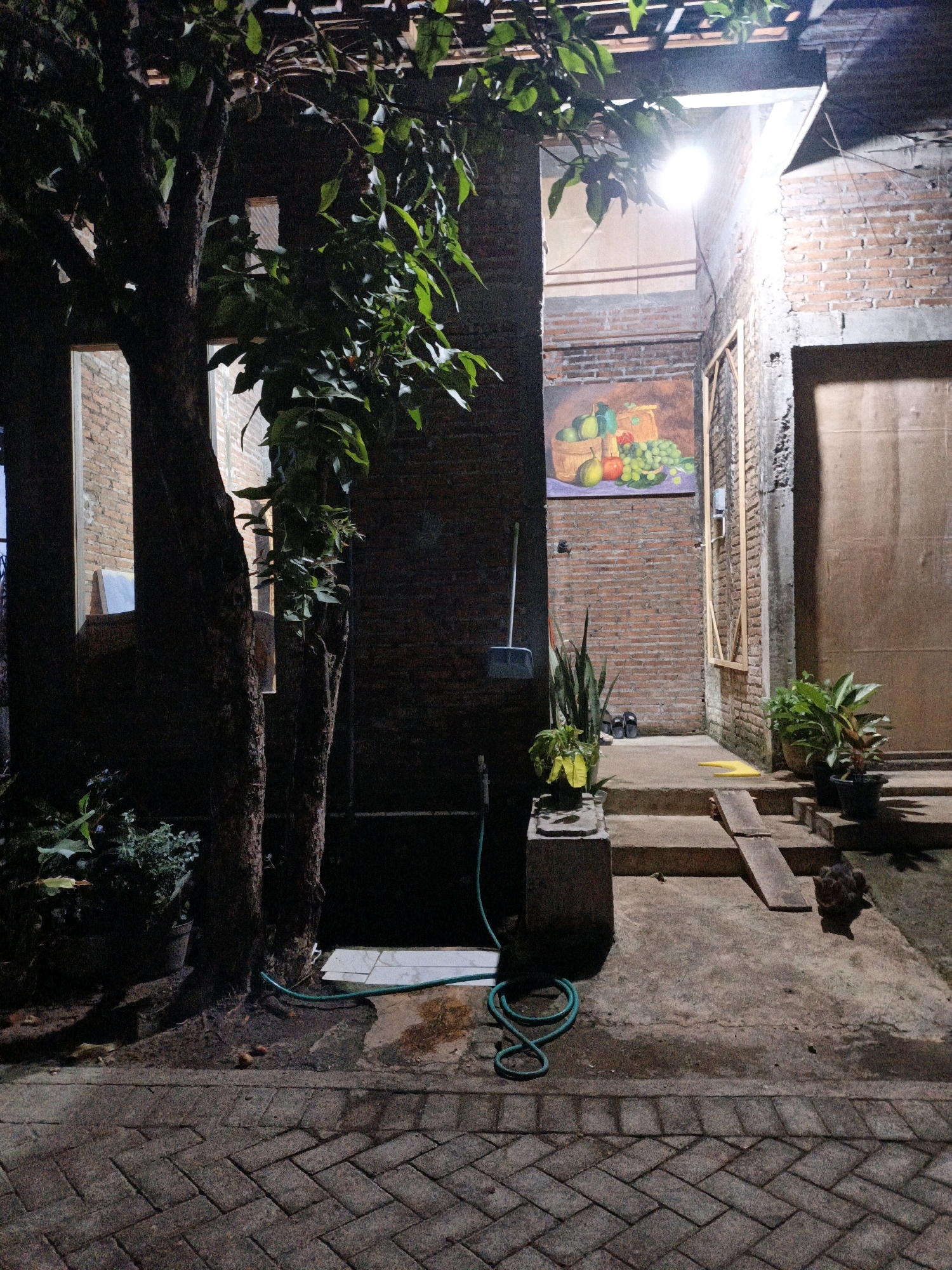 The image depicts an outdoor scene at night, likely in the city of Cikal, Indonesia, characterized by artificial lighting. The foreground is paved with herringbone-patterned bricks. A green hose is coiled on the ground near a tree trunk. In the midground, there are two trees with thick trunks on the left, and beyond them, a brick wall with a window. A painting of fruit in baskets is hung on the brick wall. A broom leans against the wall to the left of the painting. Steps lead up to a doorway, with potted plants on either side. A wooden plank serves as a ramp on the steps. A small animal, possibly a cat or dog, is visible near the ramp. The background features a brick wall and a wooden door.