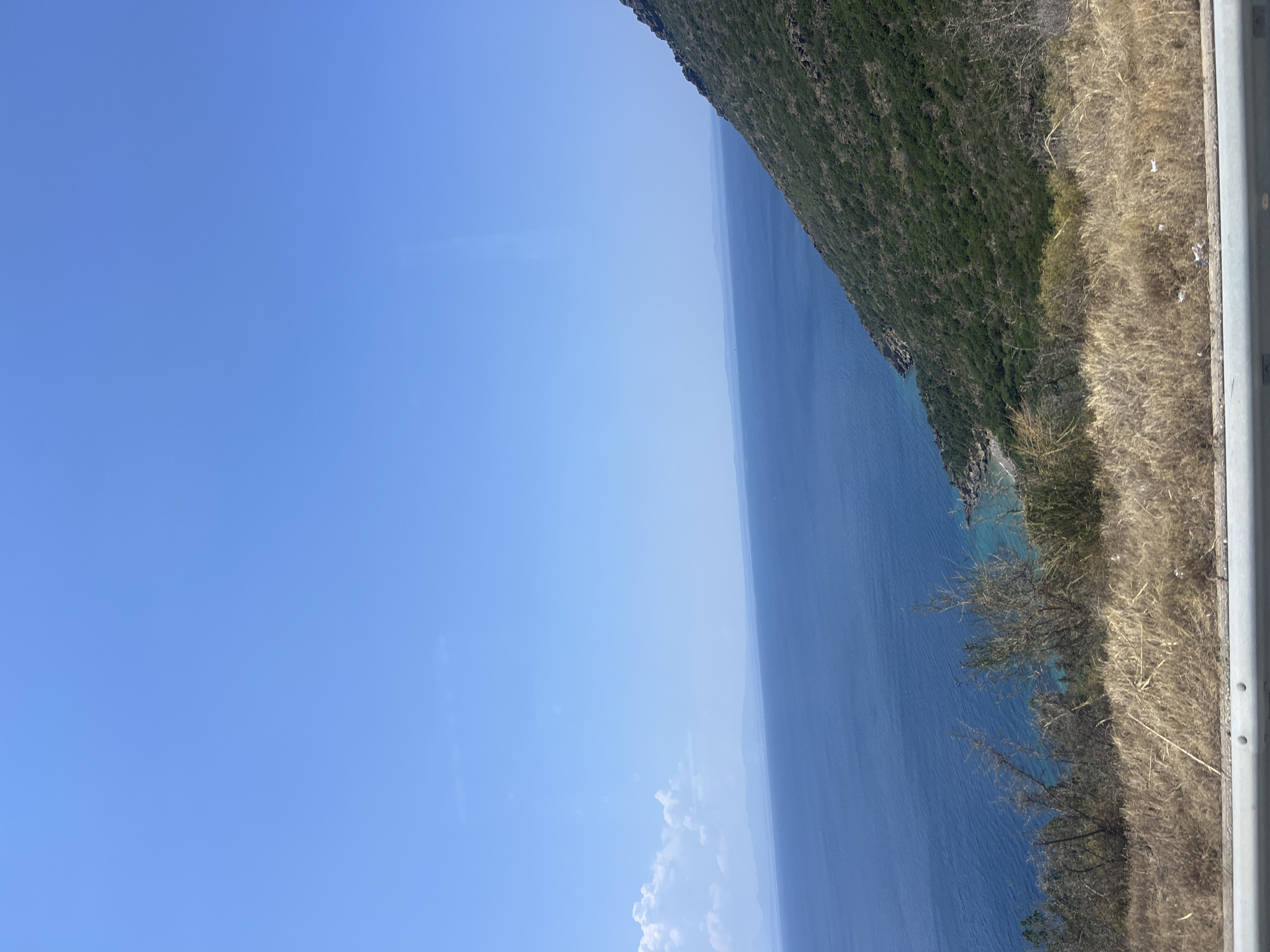 The image displays a scenic view of the sea and a forested hillside, likely from a roadside vantage point. The sky is a clear, bright blue. The sea is a deep blue, with lighter turquoise hues near the shore, and stretches to the horizon where it meets a hazy landmass. A steep, green, tree-covered slope dominates the right side of the frame, with rocky outcrops visible. The foreground features dry, yellowish grass and some sparse bushes, separated from the view by a metal railing. There are no people or specific identifiable structures visible, suggesting a natural landscape. The scene appears to be located along a coastal road, possibly in a rural or undeveloped area.