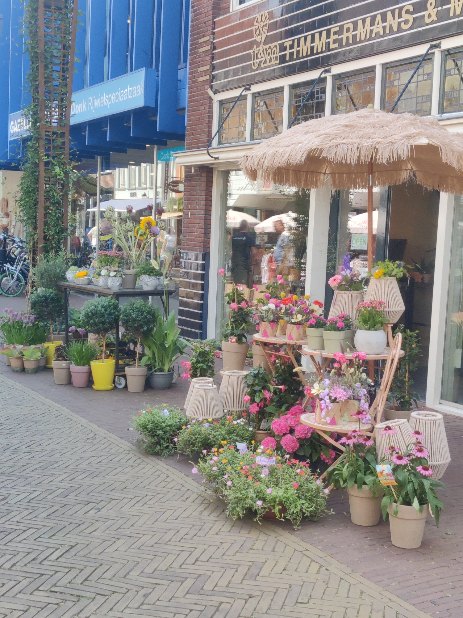 The image depicts the exterior of a flower shop in Winterswijk, Netherlands. The shop is adorned with a vibrant display of potted plants and flowers arranged on tables and the sidewalk. The shop's facade features a prominent sign that reads "TIMMERMANS & M" in gold lettering against a dark tiled background. To the left, a blue building with a sign that says "Donk Rijwielspeciaalzaak" suggests a neighboring business. The scene is bustling with a variety of flora, including colorful blooms, leafy green plants, and small trees in pots. Several decorative lamps made of woven material are also strategically placed throughout the display. The ground is paved with brickwork in a herringbone pattern. The overall impression is one of a charming and lively street scene in the heart of Winterswijk.