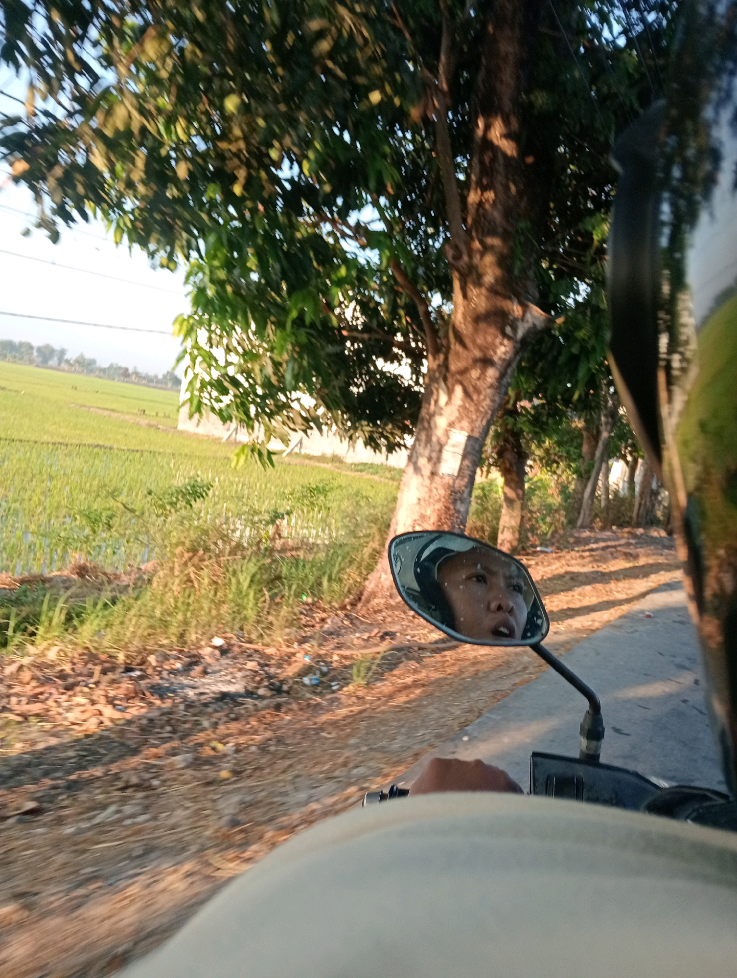 The image shows a first-person perspective of someone riding a motorcycle on a rural road near rice paddies in Bojonegoro, Indonesia. The rider's hand is visible on the handlebars, and the side mirror reflects the rider's face, which appears to be a young person with a surprised expression. The environment features lush green rice fields to the left, with a line of trees and their shadows cast across the road and surrounding dry vegetation to the right. The scene is illuminated by warm, low-angled sunlight, suggesting either early morning or late afternoon. The road itself is paved with asphalt and appears to be a two-lane road. In the background, more trees and some structures are visible, hinting at the proximity of a village or settlement.