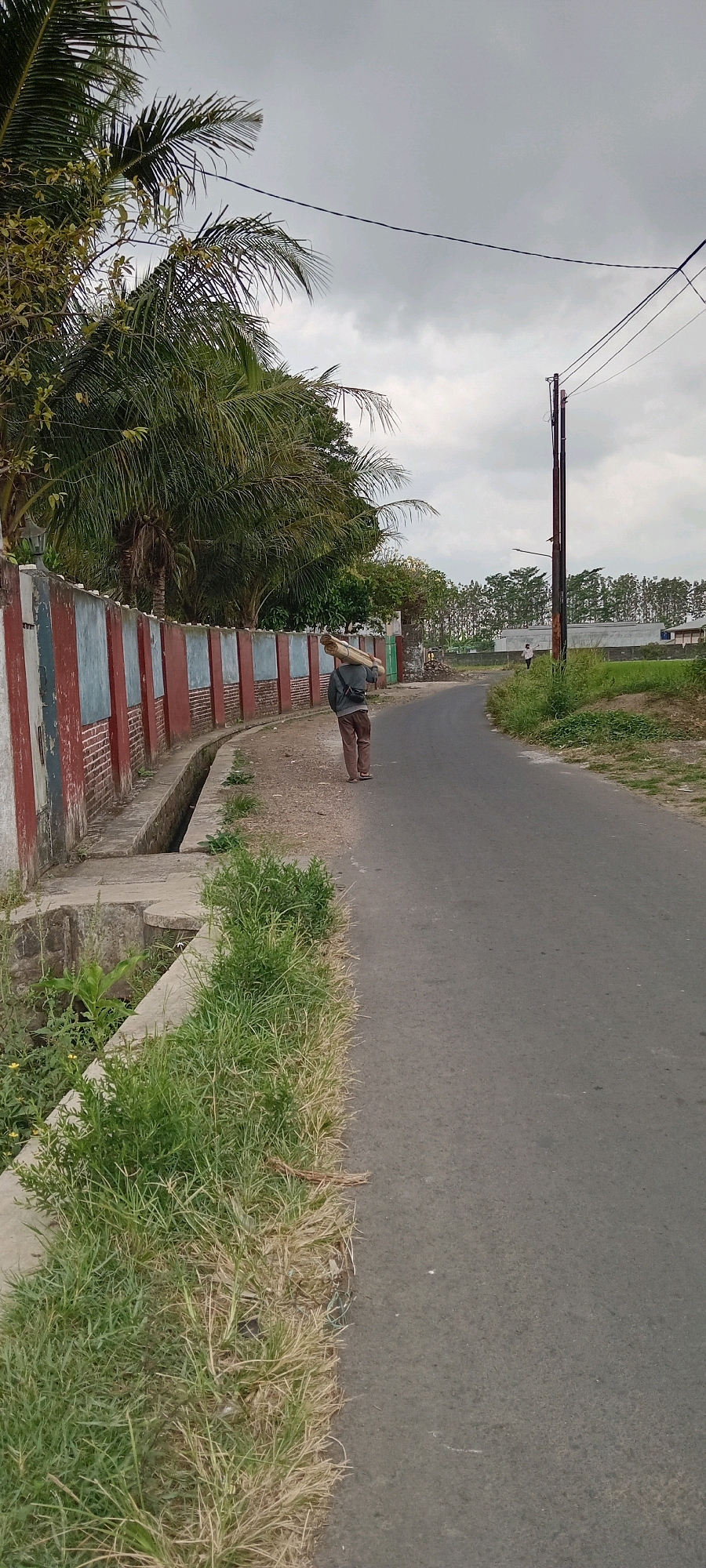 A person walks away from the camera on a paved road next to a red and blue striped wall. The person carries a long, rolled-up object over their shoulder. Green grass and a concrete drainage ditch are to the left of the wall and person. To the right of the person, the road curves away into the distance, bordered by green grass and fields. Palm trees and other foliage are visible behind the wall. Utility poles and wires are present in the background. The sky is overcast. The scene appears to be a rural or semi-rural area in Tasikmalaya, Indonesia.