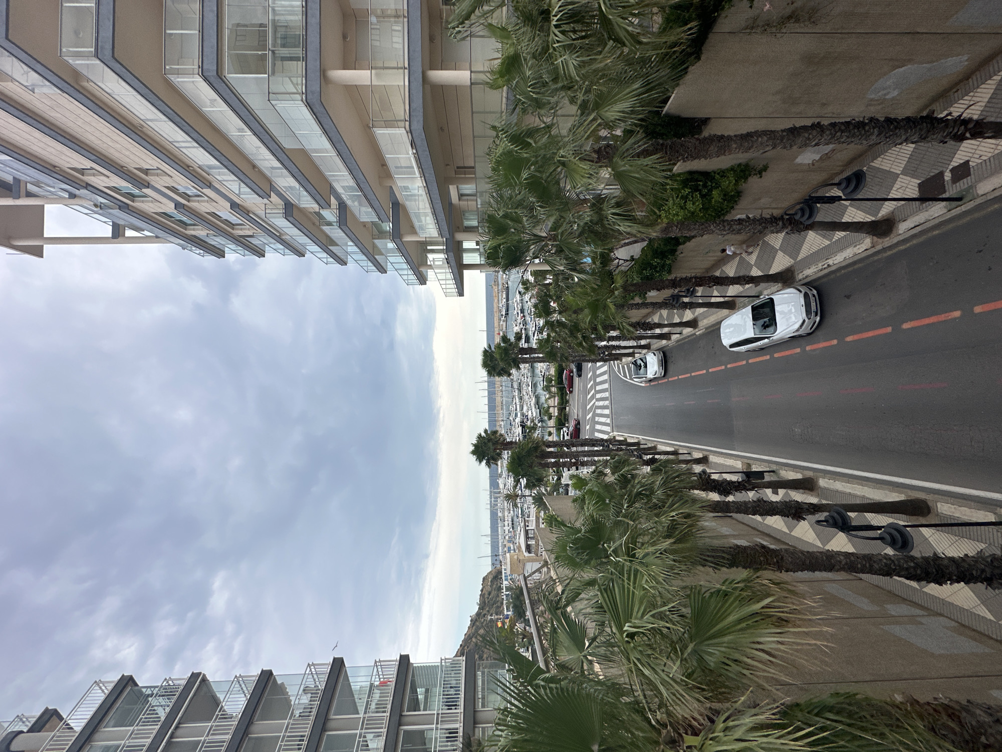 A medium-shot, eye-level, upside-down view of a street in Calp, Spain, depicts buildings, cars, palm trees, and a marina. On the left side of the frame, the facade of a modern building is visible. The building features multiple stories with glass balconies. On the right side, an asphalt road runs vertically, with cars driving along it. Red lane markers are visible on the road. A white car is the most prominent vehicle in view. A row of palm trees lines the road, with the trunks casting shadows on the patterned sidewalk. The sky is overcast, with gray clouds dominating the upper portion of the image. In the distance, between the buildings, is the port with many small sailboats.