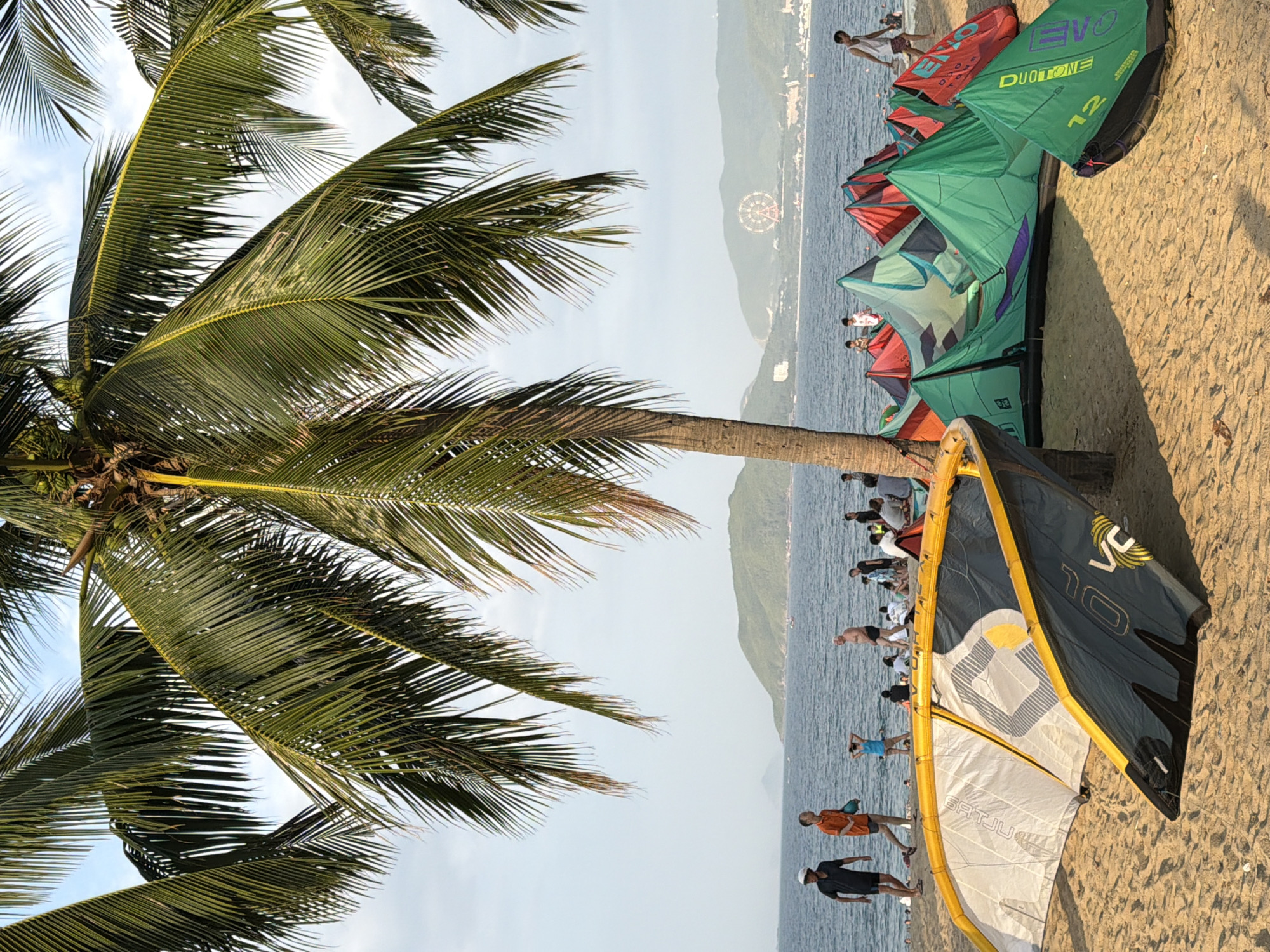 This is a vertical, eye-level, medium shot of a beach in Nha Trang, Vietnam, with a focus on colorful kiteboarding kites set up on the sand under the shade of palm trees. The ocean is calm and blue with gentle waves, and a hazy mountain range with a Ferris wheel on it is visible in the distance. Several people are scattered across the beach, some standing near the water, others further back. In the foreground, the kites are the dominant element, some standing upright and others laid out flat. The kites are a mix of vibrant colors like green, red, and yellow, with visible branding and numbering. The sand is a warm, golden color. The overall atmosphere is relaxed and summery, suggesting a day for outdoor water sports and leisure.