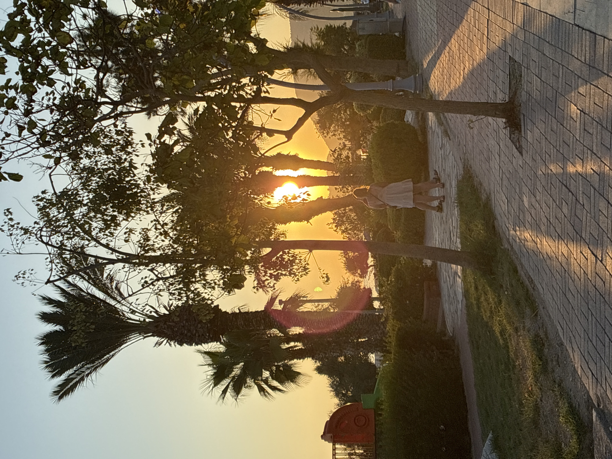 The image depicts a serene sunset scene in Alanya, Turkey, likely near the coastline given the presence of palm trees and the gentle gradient of the sky from pale blue to warm orange. In the foreground, a paved walkway with a patterned brick surface runs diagonally across the frame, reflecting the golden light of the setting sun. Sunlight casts long shadows across the path and onto a patch of green grass to the left.
A solitary tree stands in the middle ground of the walkway, its bare branches silhouetted against the vibrant sky. Further back, a couple is seen embracing amidst lush green bushes and more palm trees. The couple is the primary human subject, with the female figure wearing a light-colored dress. Their interaction is one of intimacy, captured in a tender moment.
The background is a tapestry of vegetation, including the distinctive fronds of several palm trees, with the sun positioned directly behind them, creating a lens flare effect. Beyond the trees, a low-lying hill or mountainous terrain is visible, bathed in the warm hues of the sunset. On the far left of the image, a portion of a red and green play structure, possibly part of a children's playground, can be seen peeking through the foliage. The overall atmosphere is tranquil and romantic, suggesting a public park or promenade area.