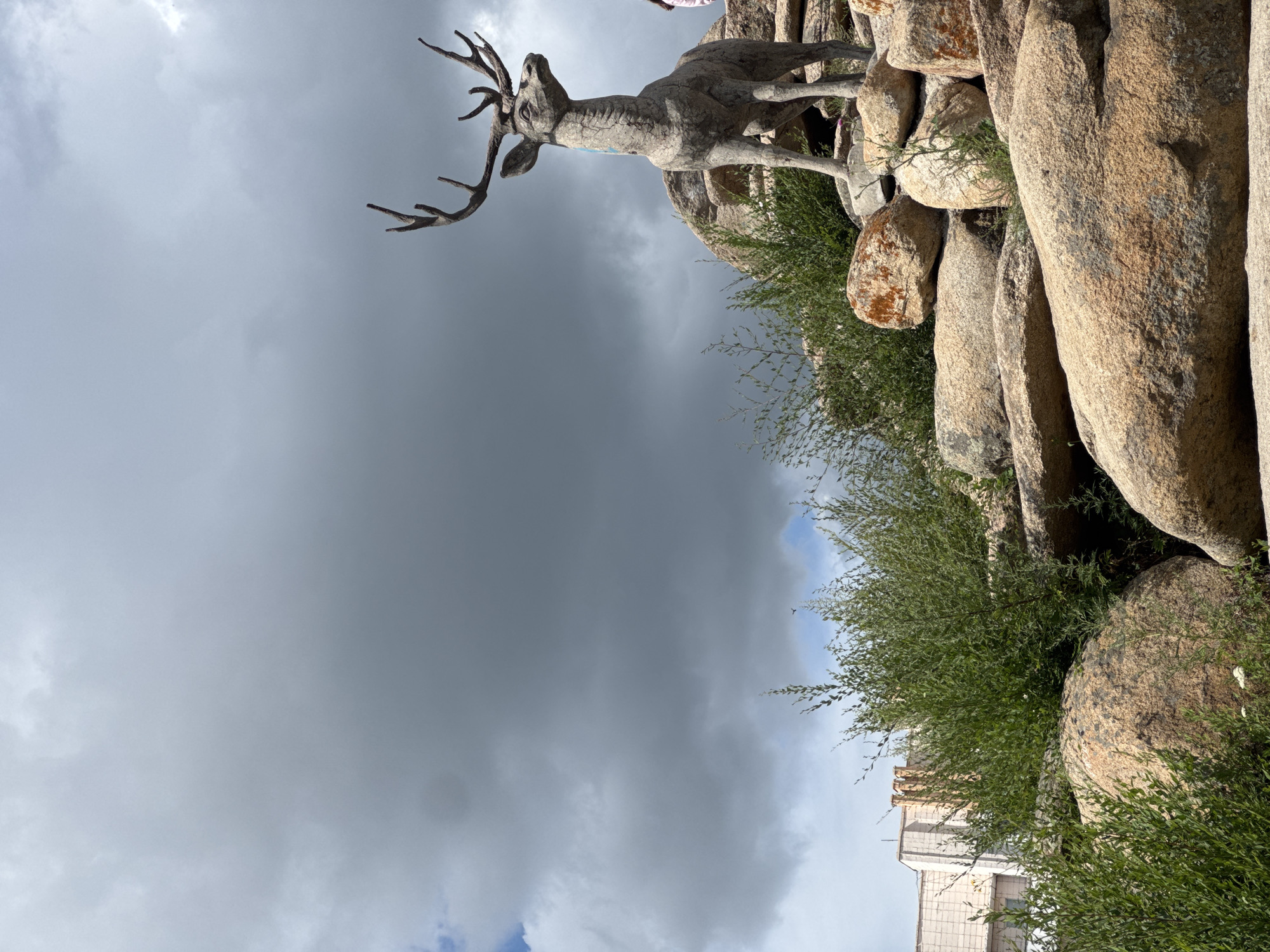 A statue of a deer with large antlers stands on a rocky outcrop under a cloudy sky. The statue is made of a rough, grey material and appears to be somewhat weathered, with visible cracks and marks. It is positioned to the right of the frame, looking to the right with its head slightly lowered. The rocks are a mix of large, rounded boulders and flatter stones, with some sparse green vegetation growing among them. In the background, to the left of the statue, a building with a light-colored facade and arched windows is visible. The sky is filled with heavy, dark gray clouds, with patches of lighter sky and some blue visible on the far left.
This image is located in Kokshetau, Kazakhstan.