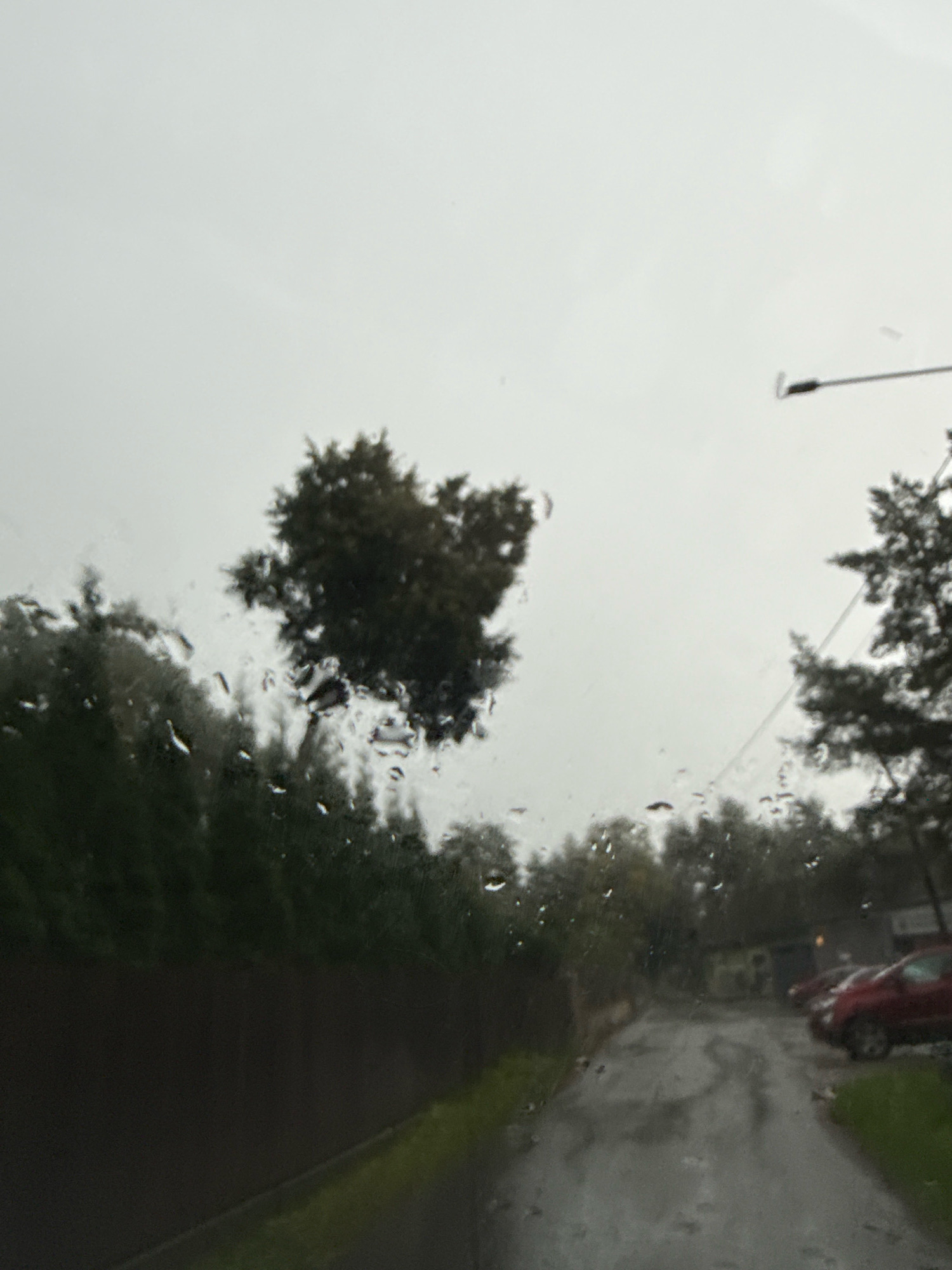 The image depicts a view through a wet car windshield on a cloudy day. Raindrops are visible on the glass, distorting the view of the environment outside. On the left side of the frame, a dark brown fence runs horizontally, separating a grassy area from a line of evergreen trees. Beyond the trees, a large deciduous tree with dark foliage is prominent in the upper left quadrant. A paved road, wet from the rain, curves into the distance on the right side of the image. Several cars are parked on the right side of the road, with a red car being the most visible. In the background, hints of buildings and more trees are present. The overall atmosphere is overcast and somewhat somber, typical of rainy weather. The location is not specifically identifiable as Tallinn, Estonia, based on the visual information provided.