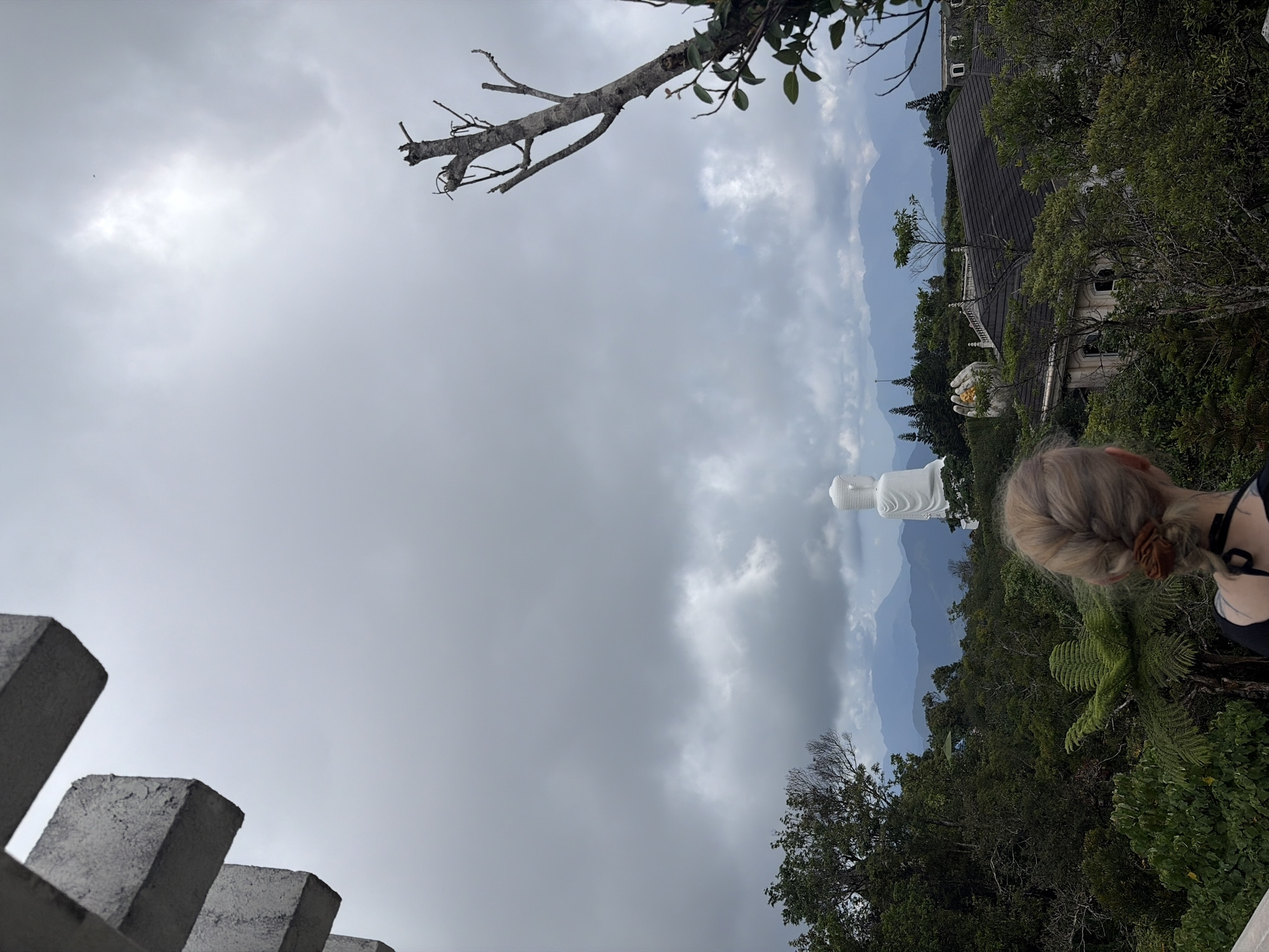 A landscape-oriented shot taken outside, revealing a white Buddha statue nestled among trees and mountains in the distance. The sky is overcast with thick grey clouds. A person's blonde hair is visible in the right foreground, positioned amidst vibrant green foliage, suggesting the viewer's perspective. Concrete structures form a barrier in the lower-left corner, and a tree branch extends from the top. Buildings are visible in the background amidst trees and mountains. The scene is in the city of Đà Nẵng, Vietnam.