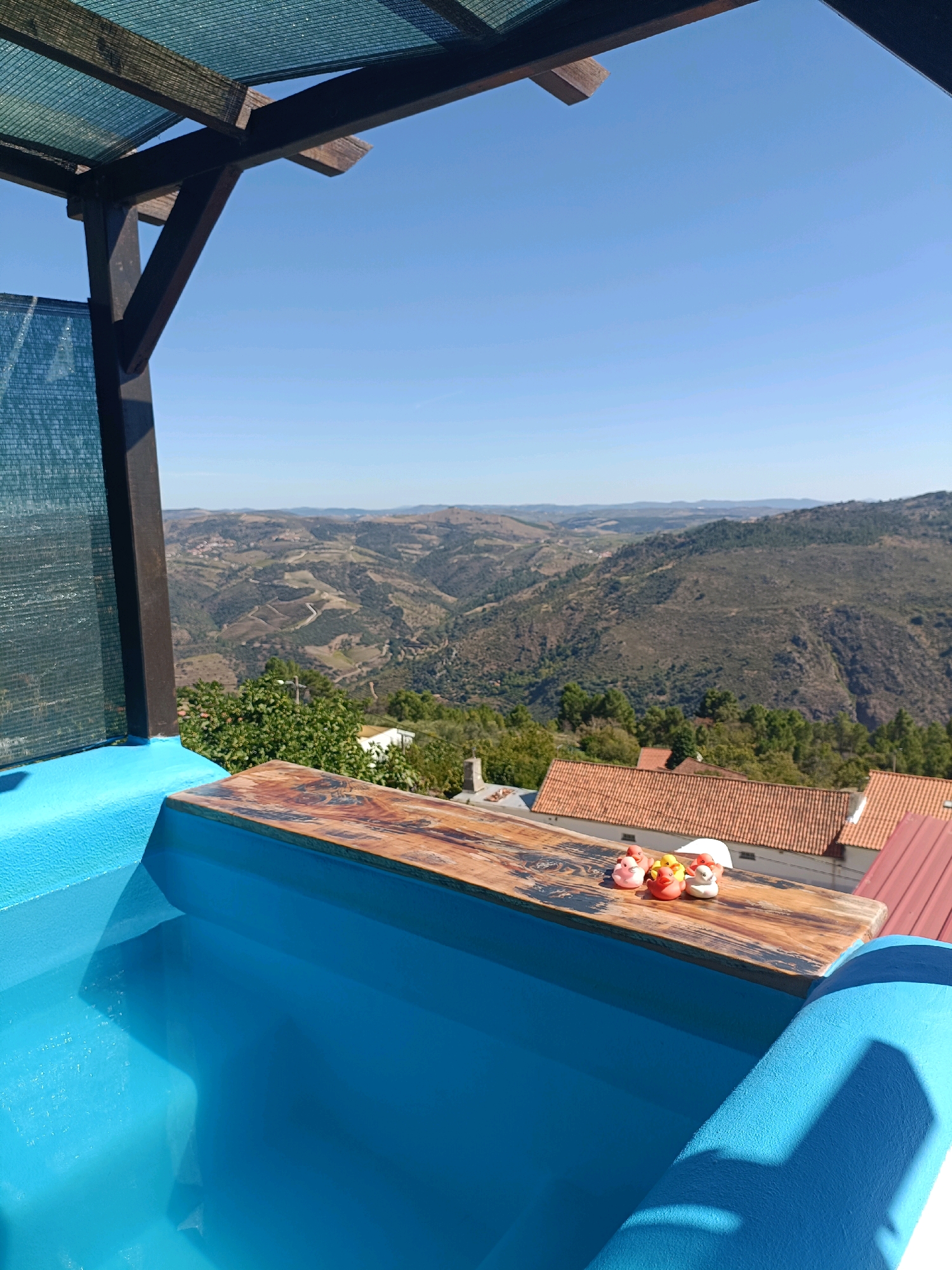 In Tabuaço, Portugal, a blue-tiled swimming pool sits on a hillside overlooking a valley dotted with vineyards and small villages. A wooden deck with a textured surface overlooks the pool. On the deck, five rubber ducks – three pink and two yellow – are arranged in a line. Beyond the pool, a rustic pergola with a green mesh roof provides shade. The sky is a clear, bright blue, and the landscape is bathed in sunlight, casting shadows across the scene. The overall impression is one of a peaceful, sunny day in a rural Portuguese setting.