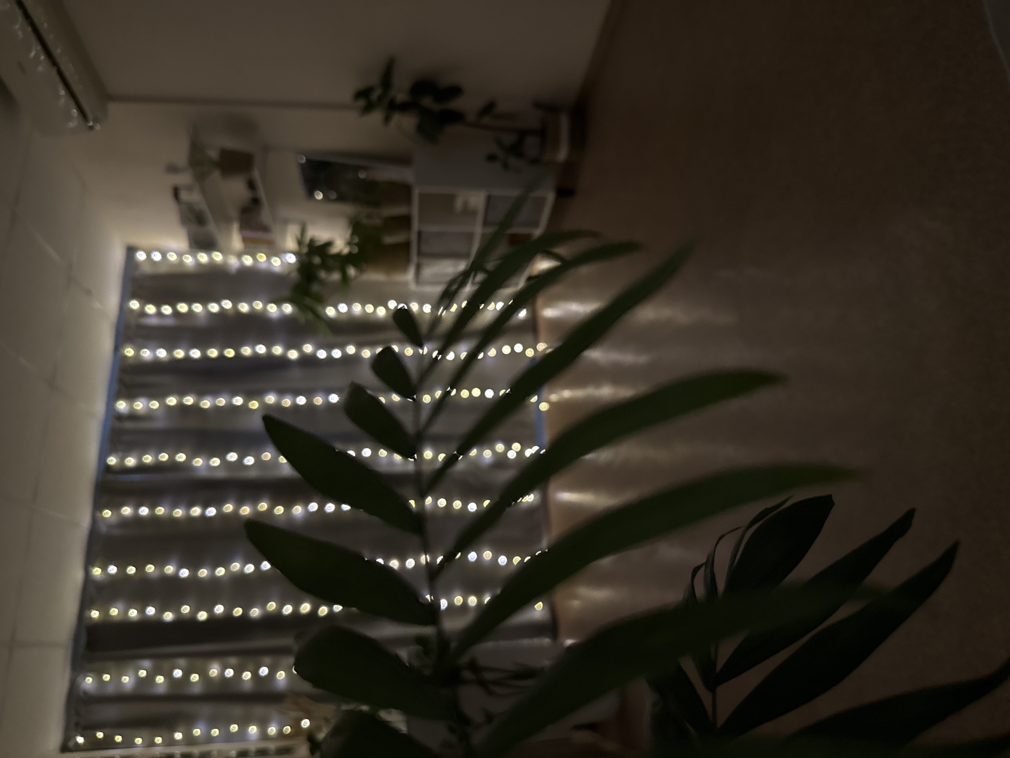 A nighttime interior view from slightly above features a plant in the foreground, obscuring part of a staircase illuminated with rows of fairy lights. In the background, a white shelving unit holds various objects and other plants. The wall to the right is a light tan color. A small section of the ceiling is visible in the upper left corner, showing a white air conditioning unit. The image was taken indoors in a location that could be Chaikovsky, Russia.