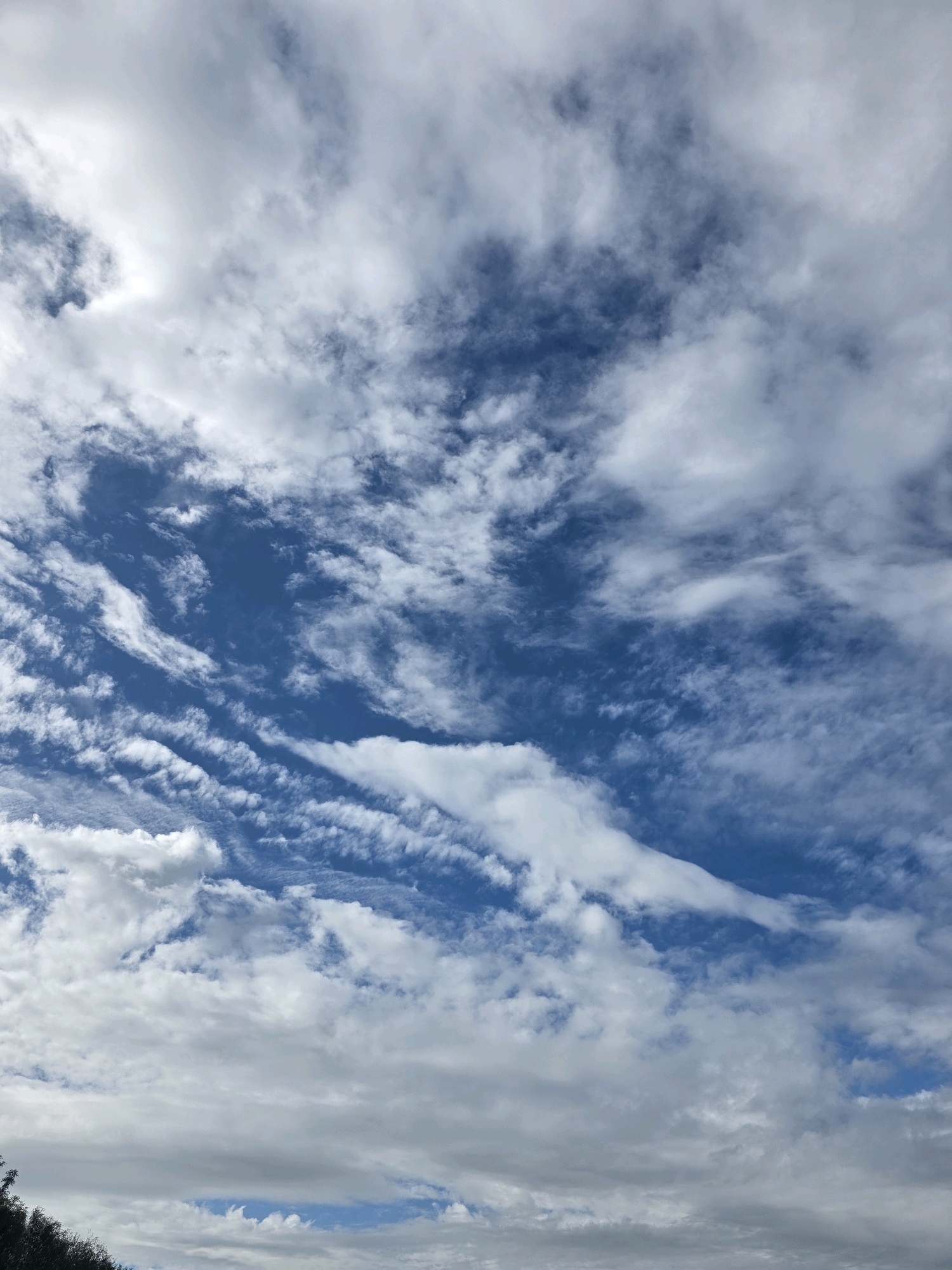 The image shows a sky with varied cloud formations. In the lower left corner, the tops of dark green trees are visible, suggesting the image was taken from ground level or a slightly elevated position. The sky is predominantly blue, with scattered white and gray clouds. Some clouds are wispy and appear to be thin, while others are denser and more opaque. The overall impression is of a dynamic sky with a mix of weather conditions. The location is specified as East Staffordshire, United Kingdom.