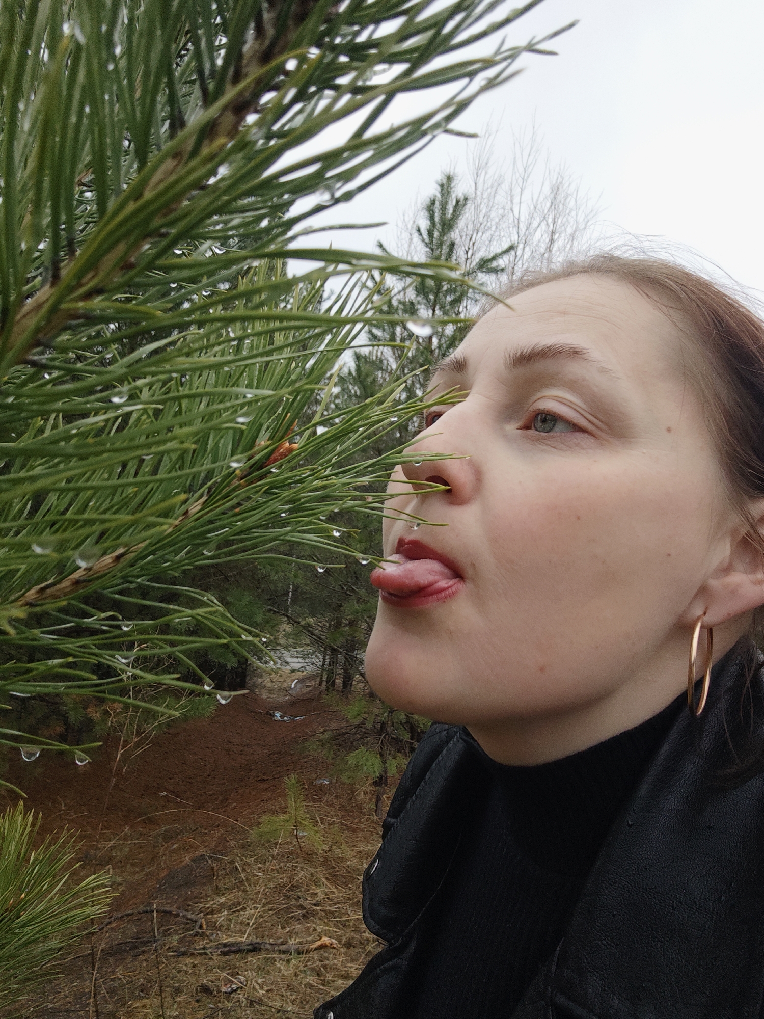 An eye-level shot captures a woman playfully interacting with nature in a forest setting in Chaikovsky, Russia, likely on an overcast day. The subject, seen from the right side of her face and upper torso, is a woman with light skin and reddish-brown hair. She wears a black turtleneck and a black leather-like jacket, with a gold hoop earring visible in her right ear.
She is looking upwards with her tongue extended towards a dense cluster of vibrant green pine needles that dominate the left and central foreground of the image. Numerous clear water droplets cling to the pine needles, suggesting recent rain or heavy dew. The woman's expression and gesture indicate a playful or curious attempt to catch or taste the water droplets.
The background, softly blurred, reveals more pine trees and some bare deciduous trees under a light, overcast sky. The forest floor beneath appears covered in reddish-brown pine needles and some dried vegetation, typical of a natural woodland environment. There is no visible text in the image.