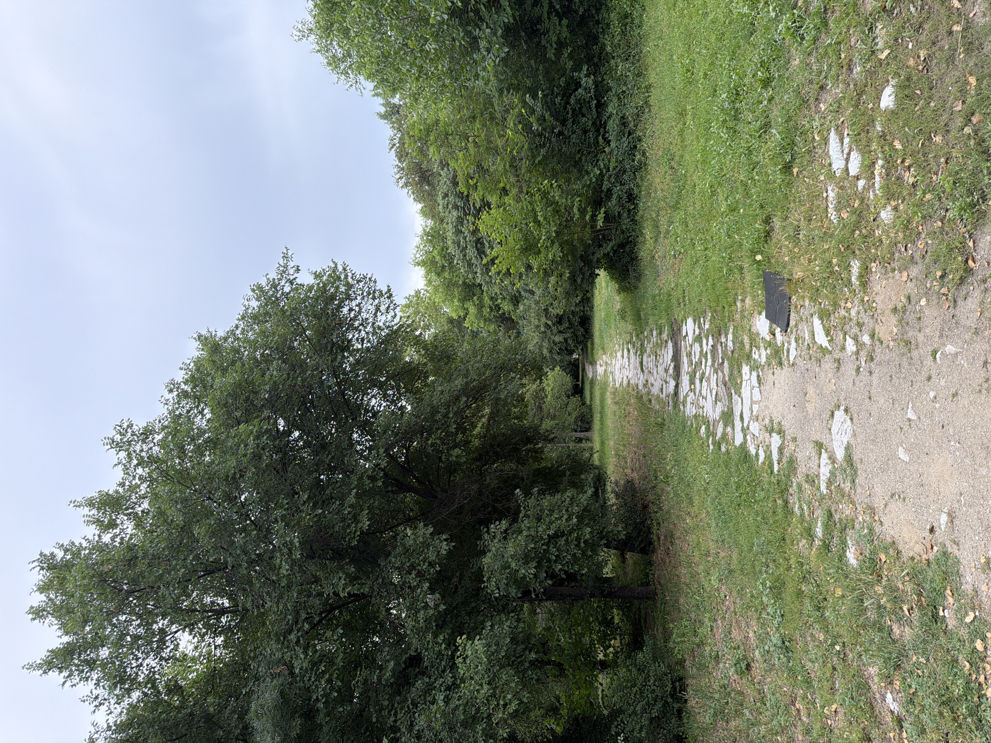 The image depicts a paved pathway in a park setting, likely located in Pazardzhik, Bulgaria. The path is constructed from irregular stone slabs, with gravel and dirt filling the gaps. It winds through a dense area of greenery, with large trees casting shadows on either side. The foliage is lush and varied, suggesting a mature park environment. The ground bordering the path is covered in grass, with some scattered dry leaves and a small, dark rectangular object partially visible in the grass to the right of the path. The sky above is overcast, contributing to a soft, diffused light. No people or animals are visible in the scene.