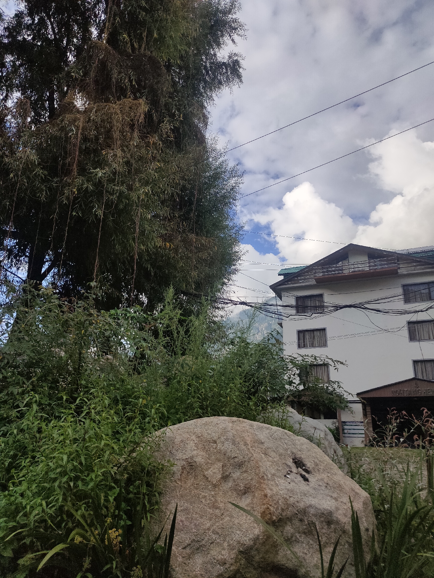 This image depicts an outdoor scene near a building in Siumsa, India. In the foreground, a large, light-colored boulder is prominent, partially obscured by lush green foliage and tall grass. Behind the boulder and vegetation, a white multi-story building with a dark-tiled roof is visible. The building has multiple windows with dark curtains and a covered entryway with a sign that appears to read "HOSPITAL" and "NEPAL." Electrical wires are strung across the facade of the building and across the sky. To the left of the building and boulder, a large tree with dark green foliage and hanging vines dominates the left side of the frame. The sky above is partly cloudy, with patches of blue visible between white cumulus clouds. The overall impression is one of a semi-rural or suburban setting, possibly a hospital or clinic, set against a backdrop of natural elements.
