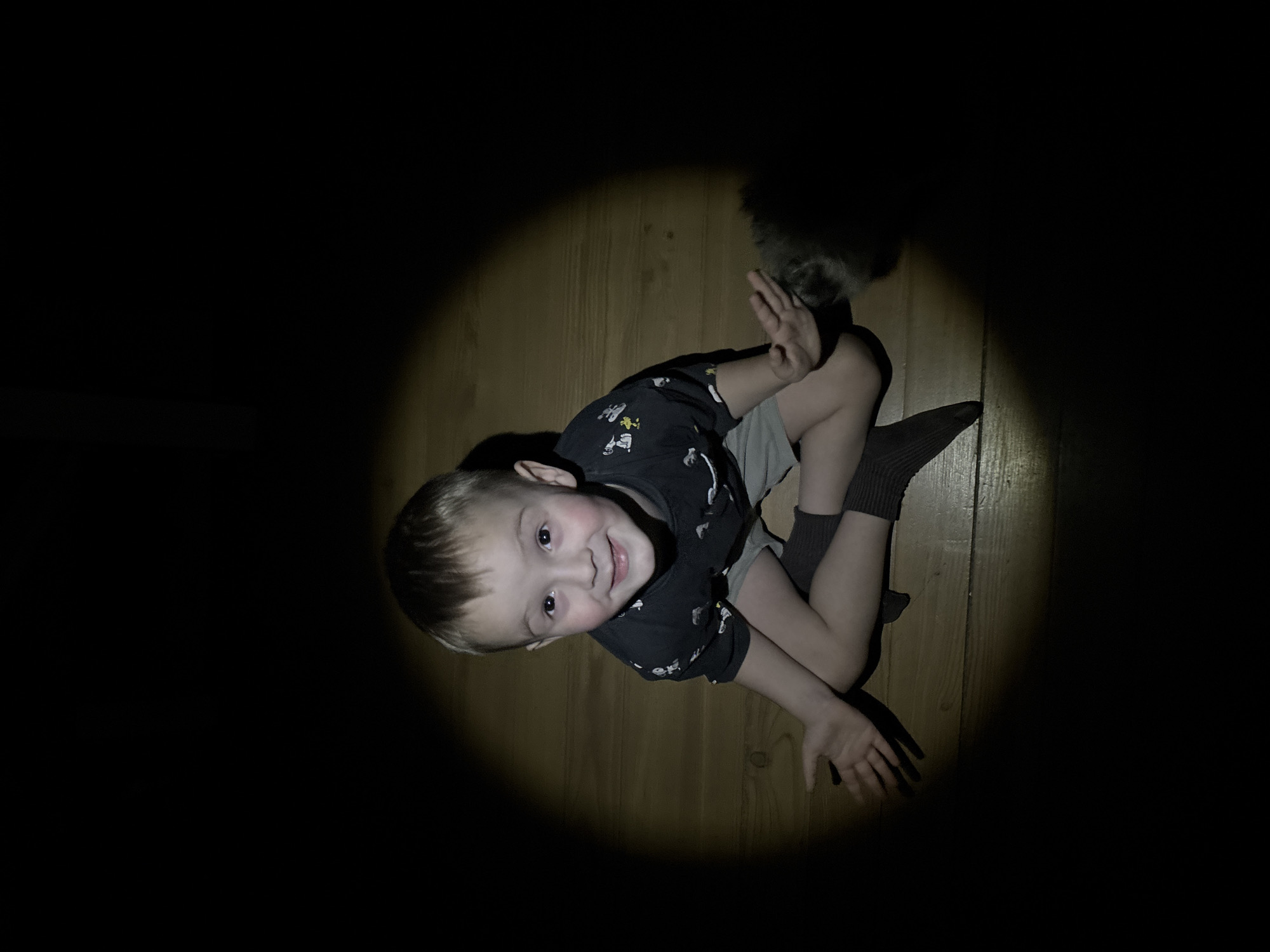 A young child is the primary subject of this image, which appears to be taken indoors, possibly in a domestic setting. The child, a boy with light hair and fair skin, is sitting on what seems to be a wooden floor. He is wearing a dark-colored shirt with a pattern and light-colored shorts. His legs are bent, and he is wearing dark socks. The boy is looking up and smiling, with one hand raised in a gesture that might be waving or shielding his eyes.
The environment is dark, with a concentrated pool of light illuminating the boy and a small area around him. The lighting effect is dramatic, suggesting it may be from a flashlight or directed light source. The surrounding area is mostly black, making it difficult to discern other details of the room, although the texture of the wooden floor is visible within the light.
No specific details in the image definitively indicate the location as Chaikovsky, Russia.