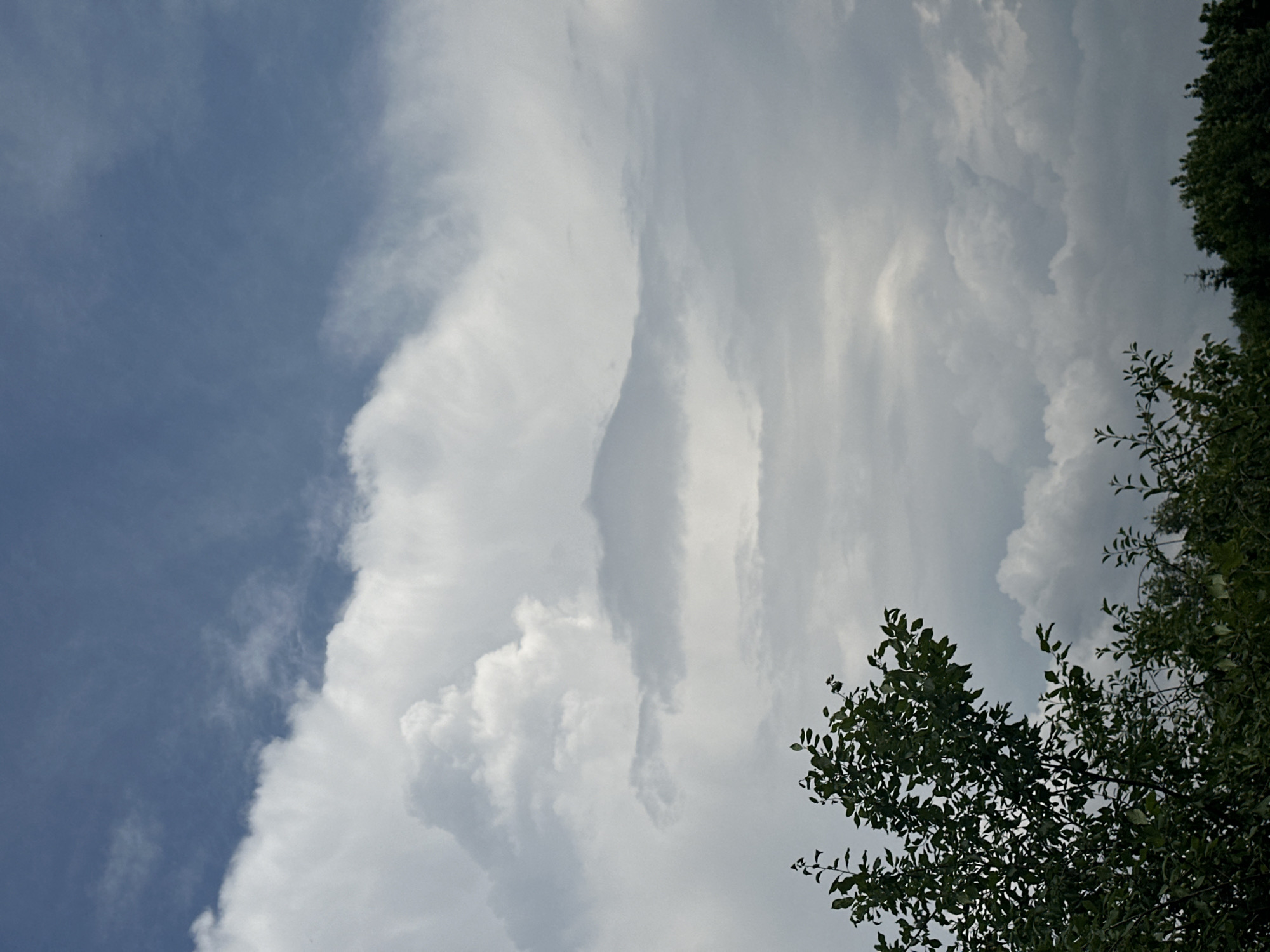 The image depicts a view of the sky with dense clouds and the tops of trees. The clouds are predominantly white and gray, with some areas of blue sky visible at the top left. The trees, with dark green foliage, are silhouetted against the sky. The scene appears to be an outdoor environment, possibly a park or a natural area within a city. There are no people or specific landmarks visible in the image that would allow for precise identification of the location within Nizhny Novgorod, Russia. The lighting suggests it is daytime, with the sun likely obscured by the clouds.
