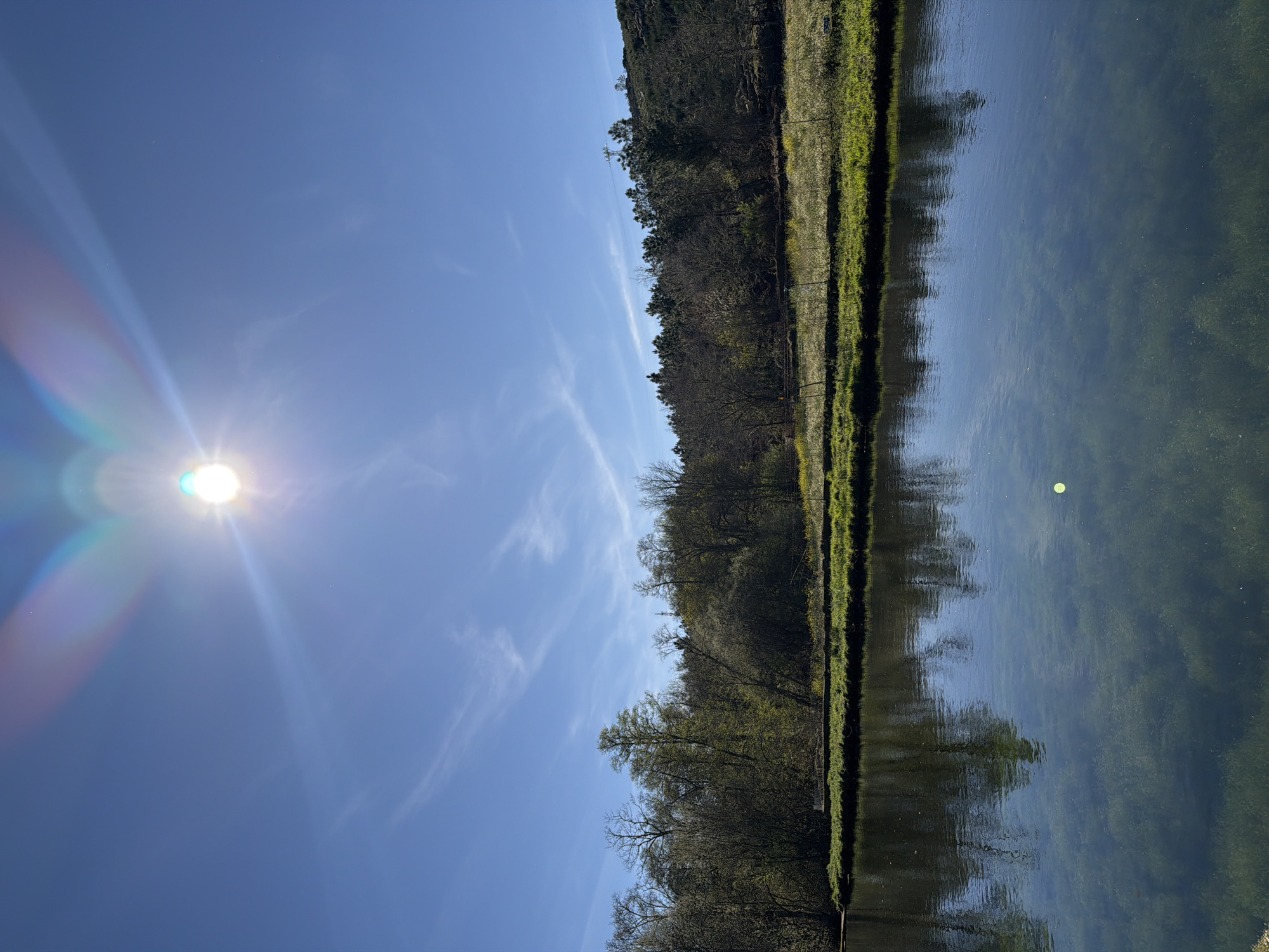 The image displays a sunlit natural outdoor scene located in Vila Real, Portugal. The upper two-thirds of the frame is dominated by a clear blue sky, featuring a brilliant, radiant sun positioned centrally at the top. The sun generates prominent lens flare with spectral colors extending diagonally across the upper quadrants. Sparse, wispy white clouds are visible horizontally across the mid-sky. The lower third of the image consists of a calm body of clear water, reflecting the sky and the opposite bank. Submerged aquatic vegetation is discernible on the bottom of the water. A single, small, spherical, bright yellow-green object floats on the water in the lower-middle right quadrant. The far bank is lined with a narrow strip of vibrant green grass, behind which a dense aggregation of deciduous and coniferous trees and shrubs extends. Some trees exhibit new green foliage, while others appear to be in early spring, with bare branches. A faint, light-colored barrier, possibly a fence or railing, is partially visible through the vegetation on the opposite bank. In the background, a tree-covered hillside rises on the right, with a thin, vertical structure, resembling a utility pole or antenna, partially obscured by trees at its peak. There are no individuals, explicit actions, or interactions depicted in the scene.