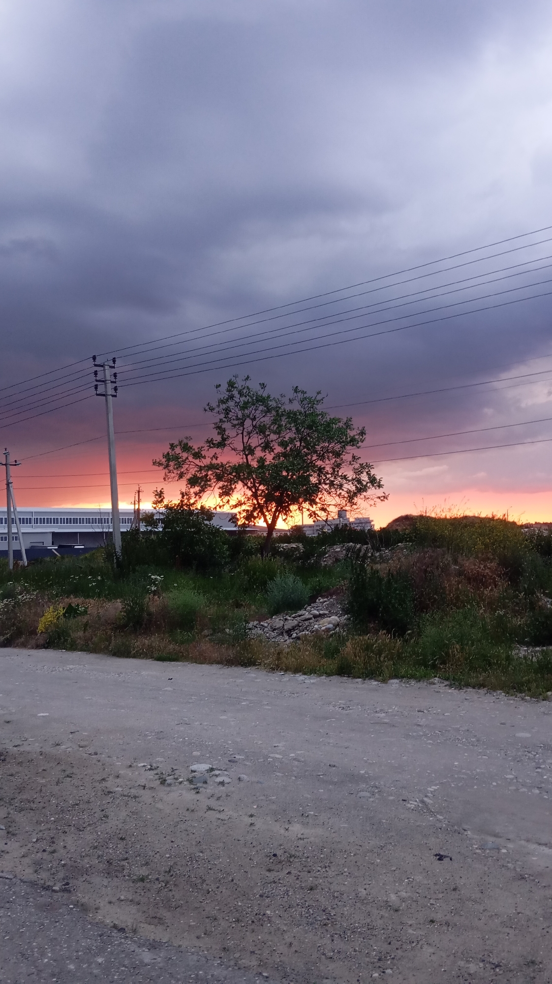 The image depicts a rural or industrial outskirts area at dusk, with a sunset visible in the distance. A single tree with green foliage stands silhouetted against the vibrant orange and pink hues of the sunset. The sky is filled with dark, dramatic clouds, creating a striking contrast with the bright sky. Power lines crisscross the upper portion of the image, supported by utility poles. In the background, a long, low-rise building with a white facade is visible, possibly a factory or warehouse. The foreground consists of a dirt road and overgrown vegetation. The scene appears to be located in the city of Baksan, Russia, given the context of the request. There are no people or animals present in the image. The overall impression is one of a serene yet somewhat stark natural landscape juxtaposed with man-made structures.