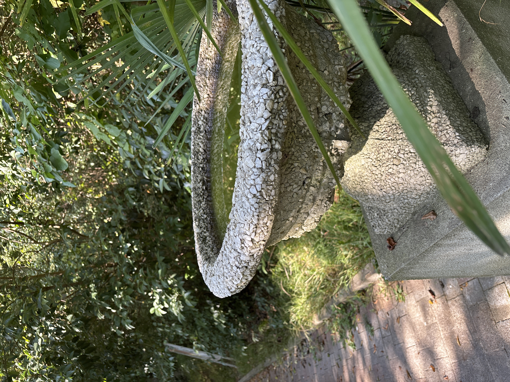 The image shows a close-up of a weathered stone birdbath filled with murky green water, set within a lush, overgrown garden. The birdbath has a textured surface of small, embedded stones. In the foreground, large green palm fronds partially obscure the view. To the left, a stone pathway with scattered fallen leaves leads away from the birdbath, bordered by patches of green grass. The background consists of dense green foliage and trees, suggesting a natural or semi-wild setting. Sunlight filters through the leaves, casting dappled shadows on the pathway and the birdbath. There are no people or animals visible in the image. The scene appears to be located in a garden or park area, possibly in Sochi, Russia, given the presence of palm fronds and dense greenery.