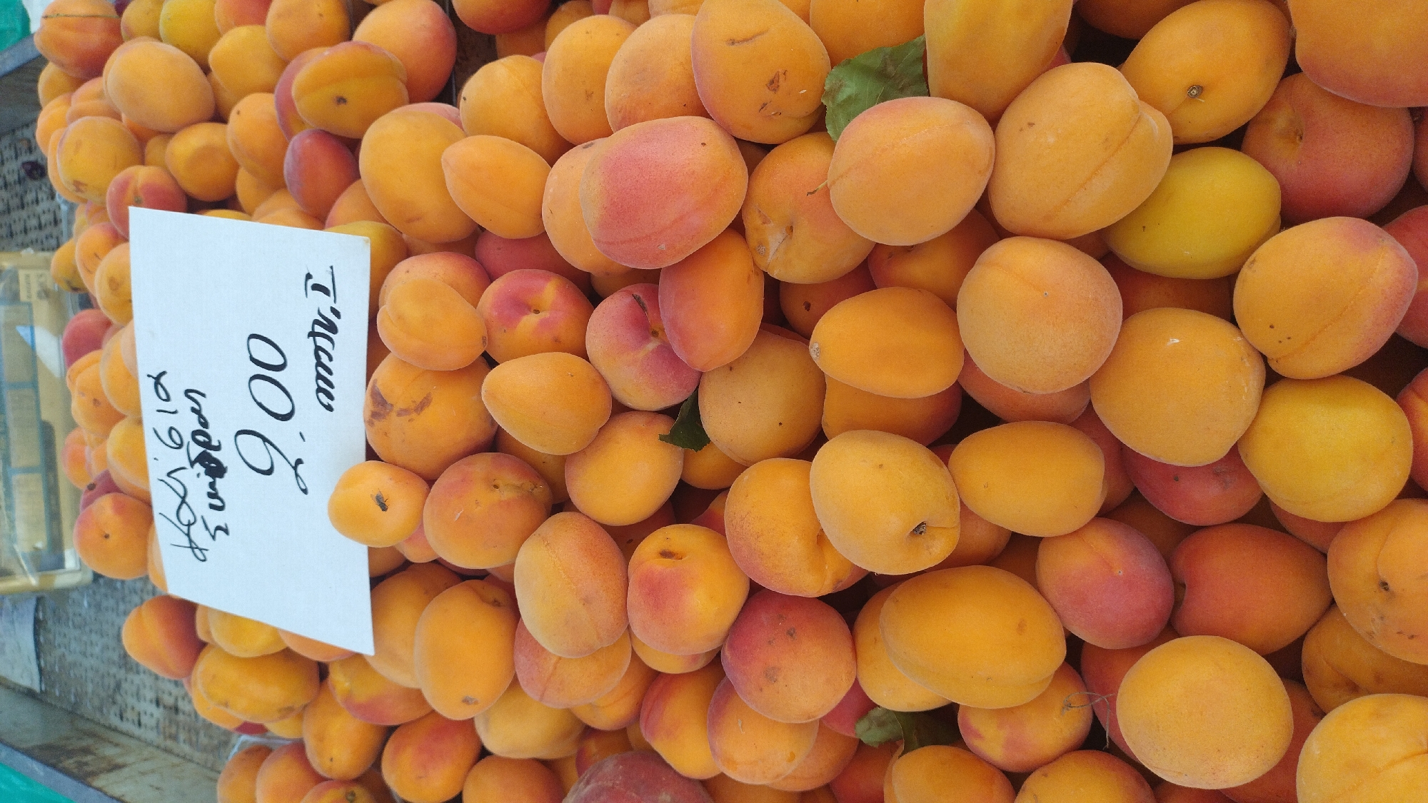 A close-up, eye-level shot shows a large pile of ripe apricots for sale at an outdoor market. A white sign is propped up against the apricots in the center of the frame. The sign is handwritten in Greek and English and reads "Χαλκιδικής" (Chalkidiki), "Συμπερασμα" (Conclusion), "9.00" and "mm, I". The apricots are a vibrant orange-yellow color, with some showing red blushes. They are piled high, filling the frame. The background is blurred, but appears to be an outdoor market setting, likely in Neoi Epivates, Greece, given the Greek text on the sign. There are no people visible in the image. The lighting is bright, suggesting it is daytime.