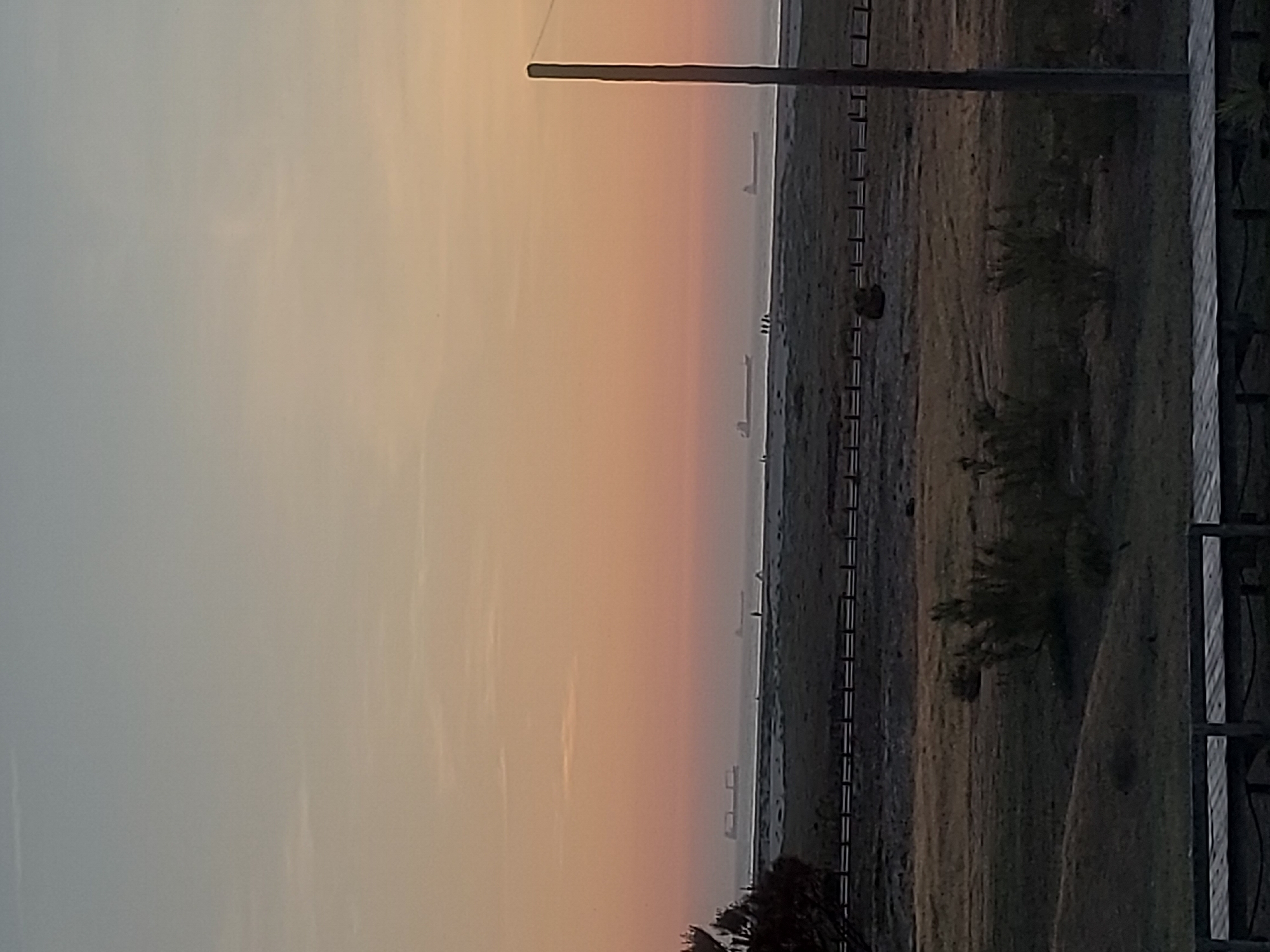 The image depicts a sunset view in Figueira da Foz, Portugal. The sky transitions from light grey to orange hues. Several ships are visible on the sea, positioned between the land and the horizon. A utility pole stands on the right. A fence runs along the edge of a grassy area. Plants and other vegetation are visible in the foreground. A section of a structure, possibly a balcony or deck, appears in the lower right corner.