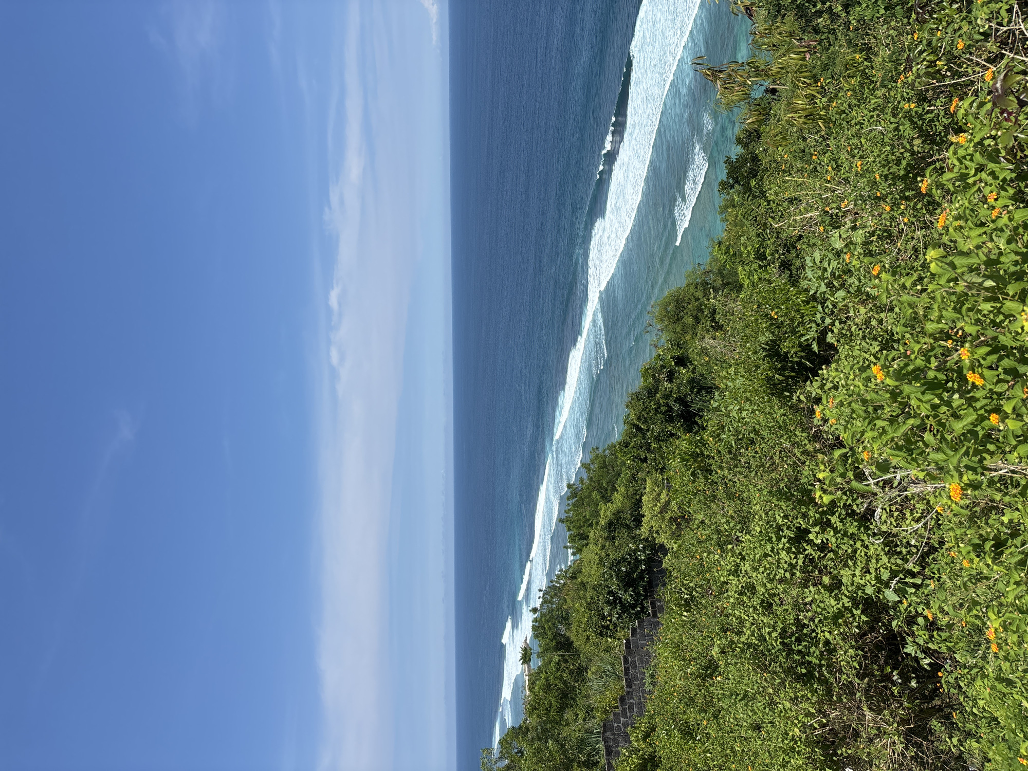 The image shows a view of the ocean and sky from the clifftop in Ungasan, Indonesia. The blue sky takes up the left side of the image with faint clouds. The ocean occupies the center of the frame, with the dark blue water stretching to the horizon, and white waves breaking closer to the shore. Lush green vegetation covers the right side of the image, with hints of yellow flowers.