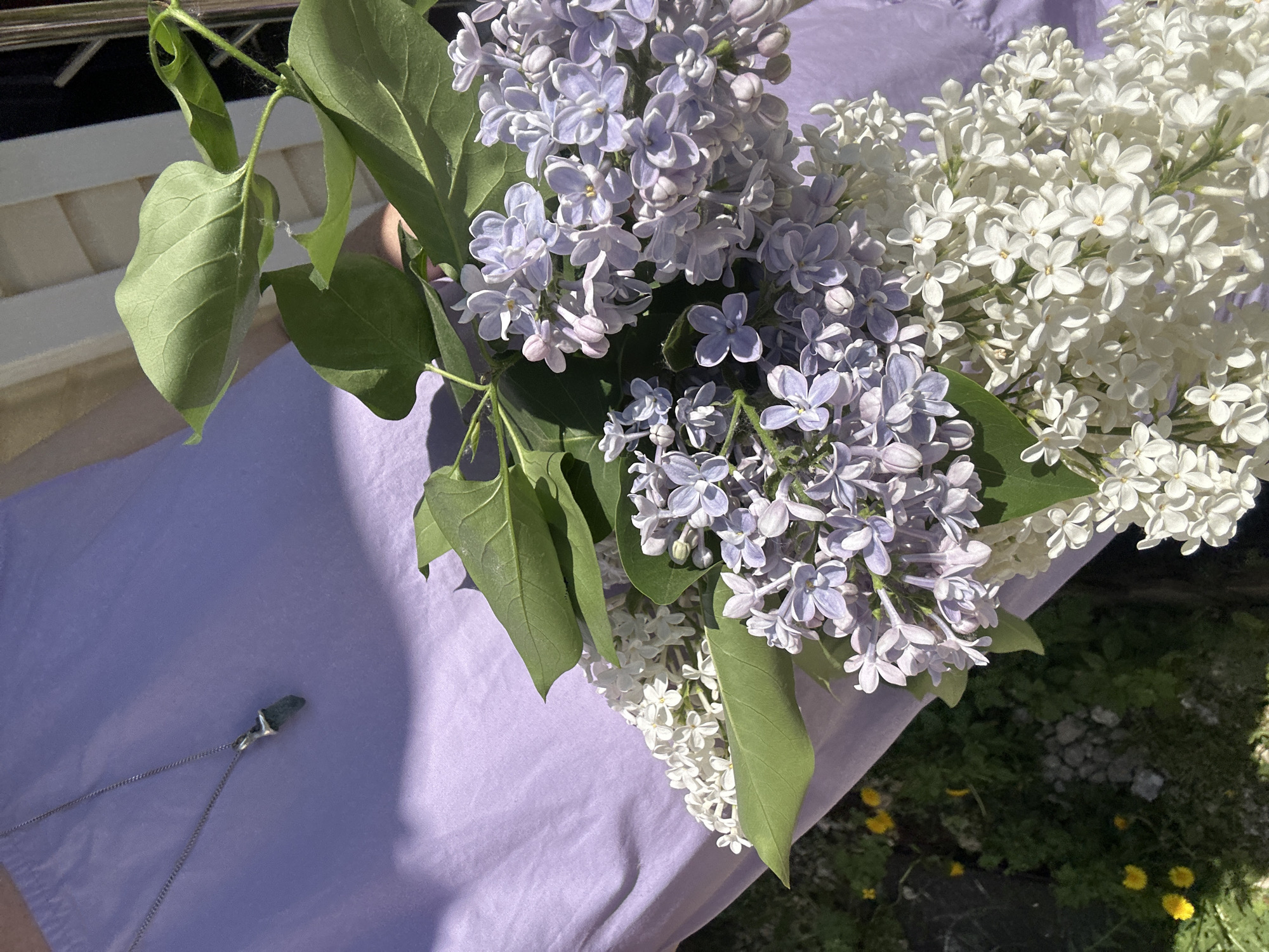 A bouquet of lilacs, both purple and white varieties, rests on a person's lap covered in a light purple fabric. A silver necklace with a dark green pendant lies on the fabric near the edge of the bouquet. The background is a mix of greenery and what appears to be an outdoor area, possibly a garden or yard. The location within Nizhny Novgorod, Russia, is not discernible from the image.