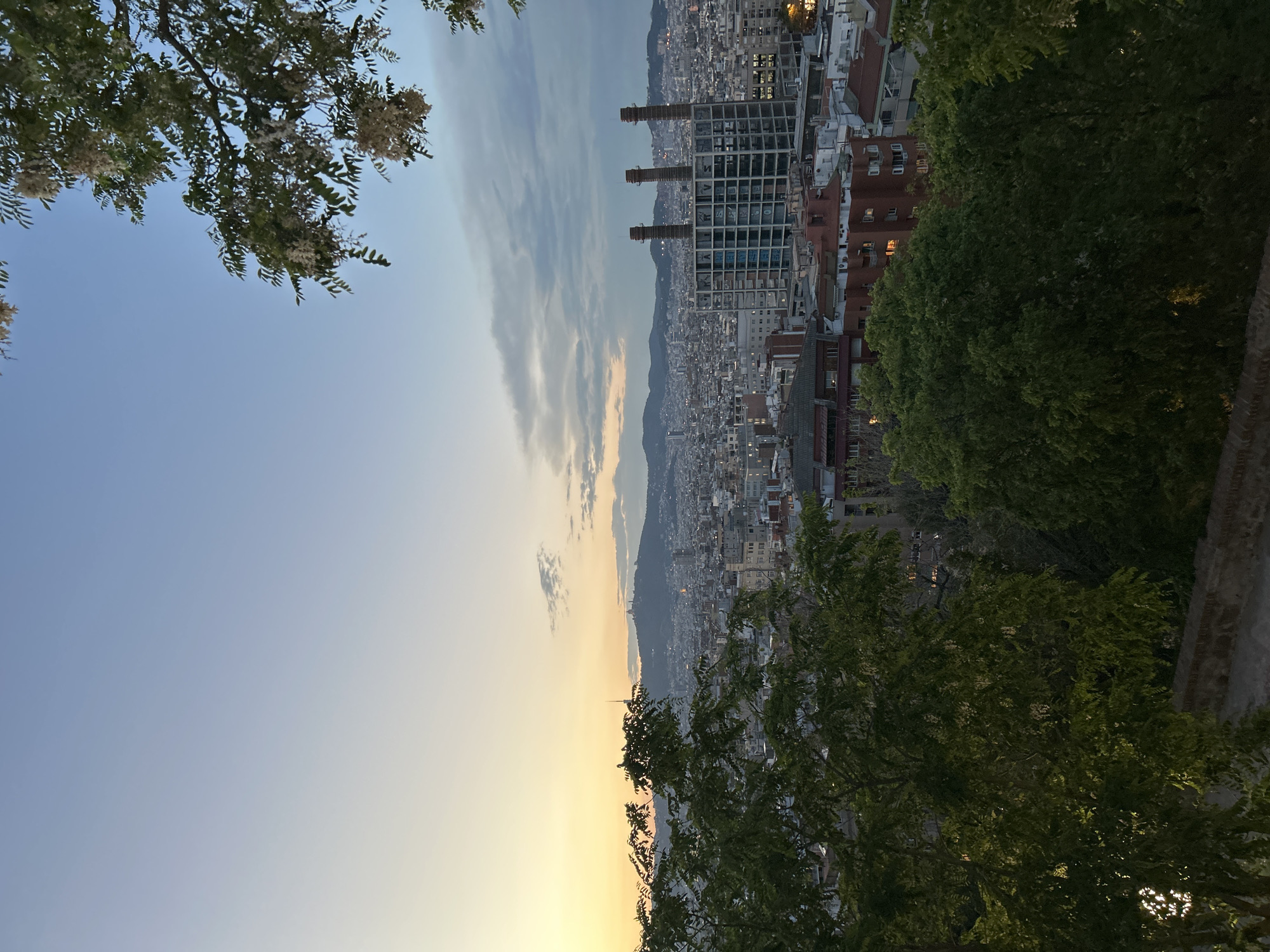 An elevated, panoramic photograph captures a sprawling view of Barcelona, Spain, during either sunrise or sunset, characterized by the warm, soft light of the "golden hour." The sky transitions beautifully from a clear light blue at the top to soft yellow and golden hues near the horizon, with delicate, wispy clouds scattered across the mid-sky.
In the foreground, the scene is framed by lush green trees adorned with small white flowers, partially obscuring the cityscape on the left and right. The mid-ground reveals a densely packed urban landscape of Barcelona, composed of numerous residential and commercial buildings. A striking feature in this section is a cluster of three prominent, tall, cylindrical industrial chimneys. Adjacent to these, a large, multi-story building with an exposed, grid-like framework stands, possibly an unfinished or derelict structure, with faint, illegible graffiti visible on its walls.
The city extends towards a range of distant mountains that form the backdrop, silhouetted against the bright horizon. A slender communications tower, likely the Collserola Tower, can be discerned on a distant peak, a key landmark of Barcelona. The overall lighting casts a warm glow, with some lights beginning to twinkle in the buildings, hinting at the approaching night or fading dawn. No specific human activity is visible, making the expansive landscape and urban sprawl the primary subjects. The image conveys a sense of serene beauty and the grandeur of the city from a high vantage point.