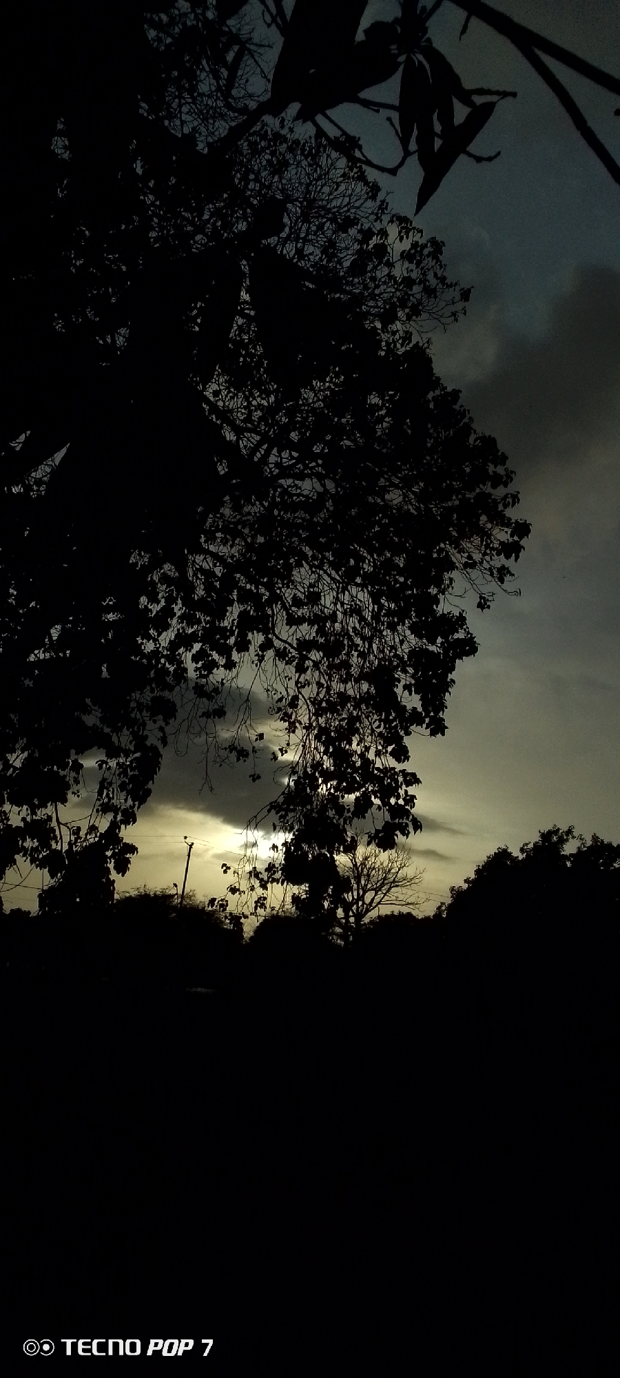 The image depicts a sunset scene in Altagracia, Venezuela. The foreground is dominated by silhouettes of trees and foliage. The sky is overcast with a mix of dark and light clouds, with a bright area indicating the setting sun. In the middle ground, there are more silhouetted trees and what appears to be a utility pole. The text "TECNO POP 7" is visible in the lower left corner, suggesting the image was taken with that mobile device. The overall scene has a somber, almost monochrome quality.
