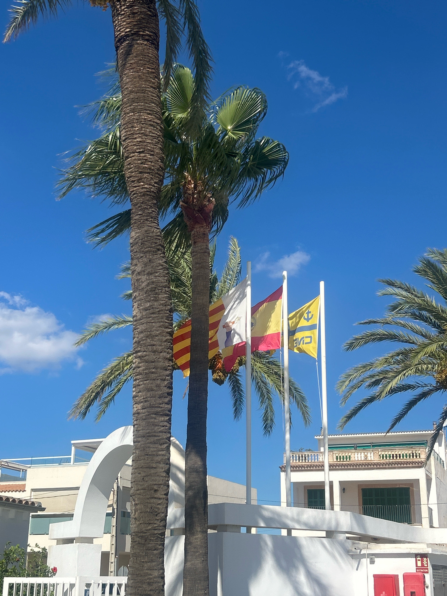 A clear, bright blue sky with sparse white clouds forms the background for this daytime scene. In the foreground, the textured bark of a palm tree trunk dominates the left side of the frame. To the right of this, two more palm trees, their fronds rustling slightly, frame a cluster of three flags flying from white poles. The flags, from left to right, are: one with yellow and red stripes and a coat of arms, the Spanish national flag, and a yellow flag with a blue emblem. The flags are positioned in front of a white building with modern architectural elements, including a large, arched structure and balconies. The building appears to be a hotel or resort, with green shutters visible on some windows. The overall impression is of a sunny, coastal location.