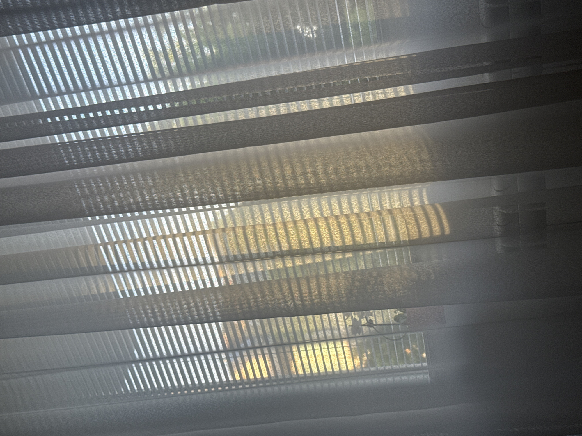 The media file presents an indoor view of a window covered by horizontal venetian blinds. These blinds feature alternating strips of translucent, sheer fabric and opaque, solid material. Bright sunlight, imbued with a warm, golden hue, streams through the window, strongly illuminating the translucent sections and creating distinct patterns of light and shadow across the entire blind structure. This warm lighting suggests the time of day is either early morning or late afternoon, likely sunrise or sunset.
Through the sheer parts of the blinds, indistinct forms of outdoor foliage, possibly trees or bushes, are visible, along with vague outlines that could be a distant building or fence. These elements indicate an exterior view, likely in an urban or suburban environment. There are no human subjects or explicit activities depicted in the scene. The image focuses on the interplay of light, texture, and pattern created by the blinds. No text is visible within the frame. While the provided context indicates the image was taken in Plovdiv, Bulgaria, no specific landmarks or identifying features of the city are present in the visual content itself. The overall atmosphere conveyed is one of quietude and the beauty of natural light filtering indoors.