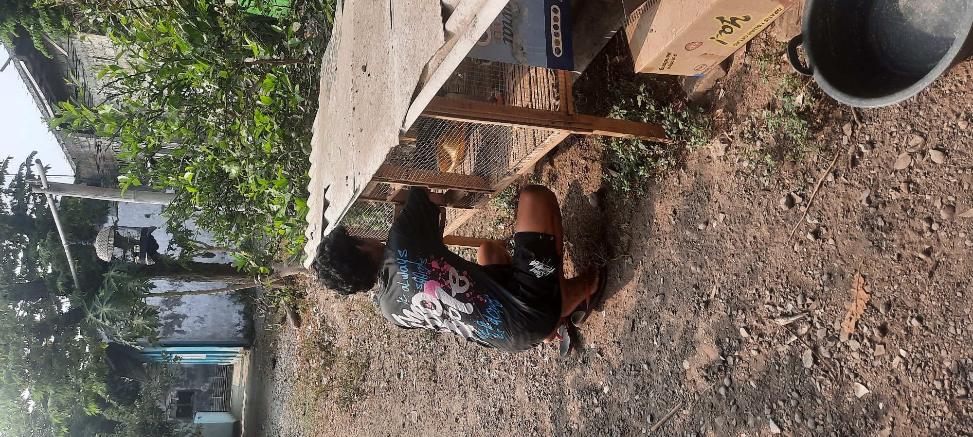 A young man with curly black hair, wearing a black t-shirt with white and pink graphic text that reads "It Always Soars", and black shorts, crouches in front of a chicken coop. The coop is made of wood and wire mesh and has a corrugated metal roof. Inside the coop, a yellow chick is visible. The man appears to be tending to the chickens. The ground is dirt and gravel, with some dry leaves and small plants. In the background, there is a blue and white building, a tree with a birdcage hanging from it, and more greenery. A cardboard box with text in Indonesian is also visible on the right side of the image, and a black plastic basin is in the lower right corner. The overall scene suggests a rural or semi-rural setting, possibly in the village of Selopuro, Indonesia, given the context of the query. The lighting indicates it is daytime.