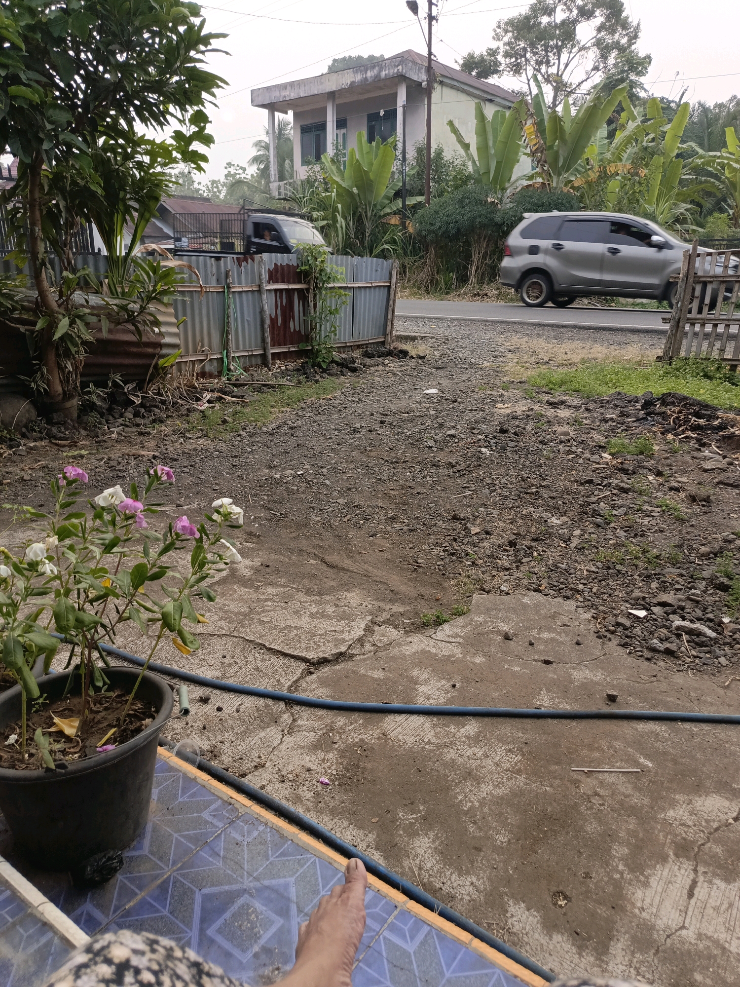 In Ulak Tanding, Indonesia, an outdoor scene unfolds, dominated by a road and its surroundings. The road, paved and grey, serves as a thoroughfare for vehicles. On the left side of the road, a silver minivan is captured in motion, its windows tinted, suggesting a typical day's commute. A dark-colored pickup truck is also visible, partially obscured by a corrugated metal fence, hinting at local transportation or utility vehicles. The environment is lush, with a variety of plants, including tall banana trees, contributing to the tropical atmosphere. A single potted plant with delicate pink and white flowers sits in the foreground, adding a touch of color to the otherwise earthy tones. The ground is a mix of gravel and cracked concrete, indicating a somewhat unkempt or rural setting. In the distance, a two-story building with a light-colored facade and a prominent roof structure stands, suggesting residential or administrative presence. The sky overhead is overcast, casting a diffused light over the entire scene. The presence of a blue hose suggests that watering or cleaning activities might be commonplace in this area.