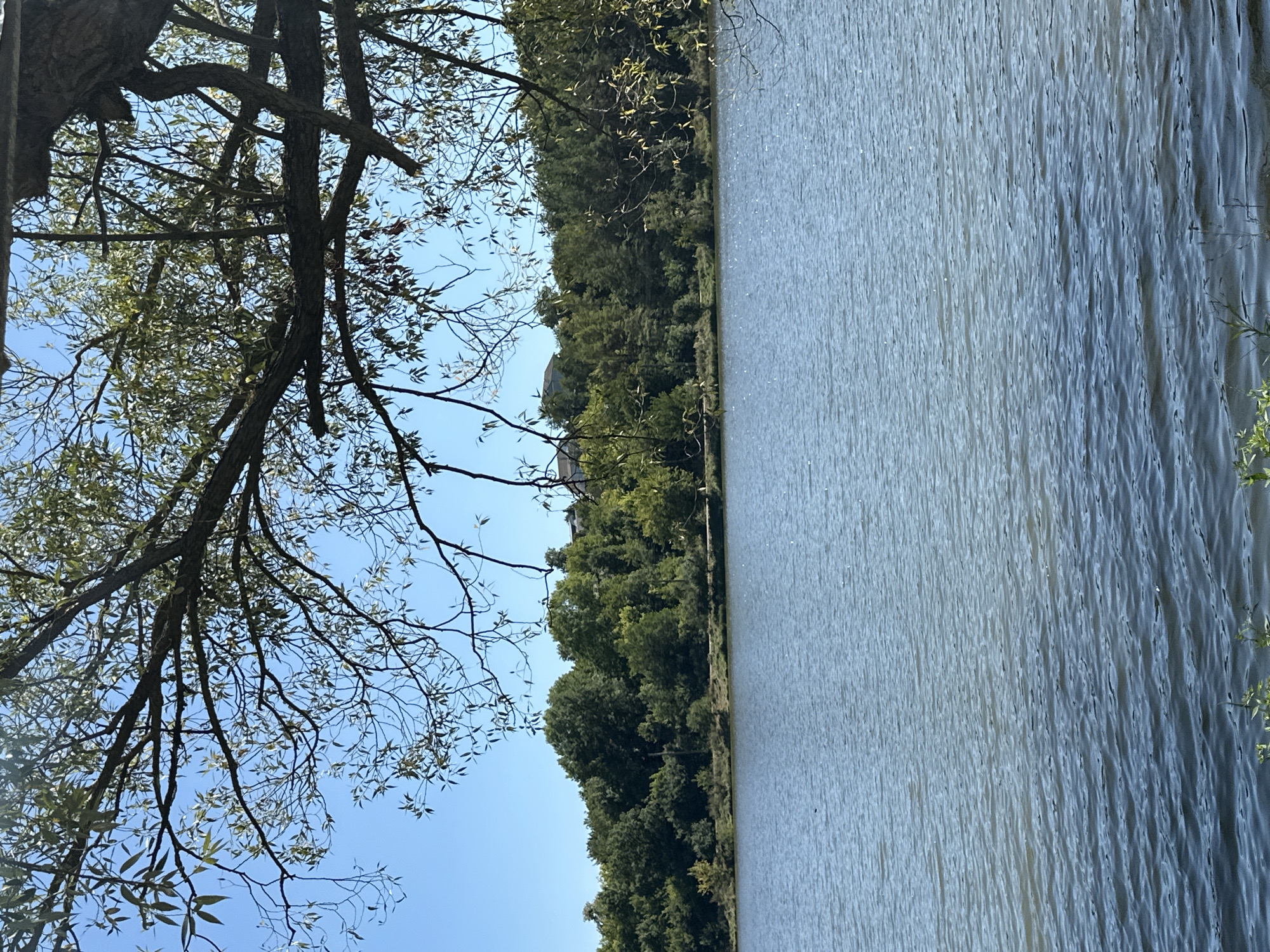 An outdoor, eye-level shot shows a calm, blue lake in the foreground. The water is textured with small ripples. In the middle ground, a dense line of green trees borders the lake, with several buildings peeking through the foliage in the upper portion of the tree line. In the foreground, a large tree branch with sparse green leaves extends from the upper left corner of the frame, partially obscuring the clear blue sky. The scene appears to be captured on a sunny day. The location is identified as Makiv, Ukraine.