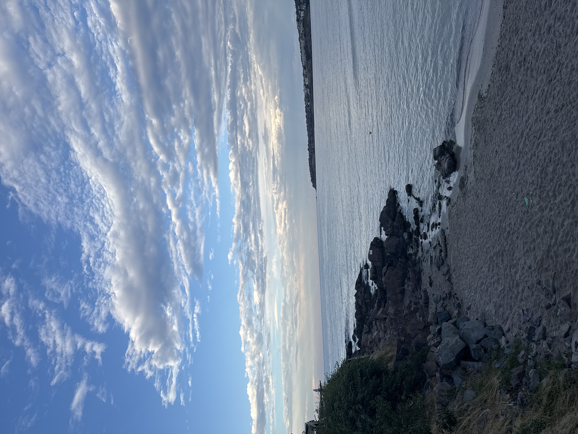 The image depicts a scenic view of the Black Sea coastline near Sozopol, Bulgaria, under a sky filled with scattered clouds. In the foreground, a sandy beach transitions into a rocky shoreline. Lush green vegetation covers a portion of the rocky cliff to the left. The sea stretches out to the horizon, meeting a distant coastline dotted with buildings. The overall impression is one of a peaceful, natural environment.