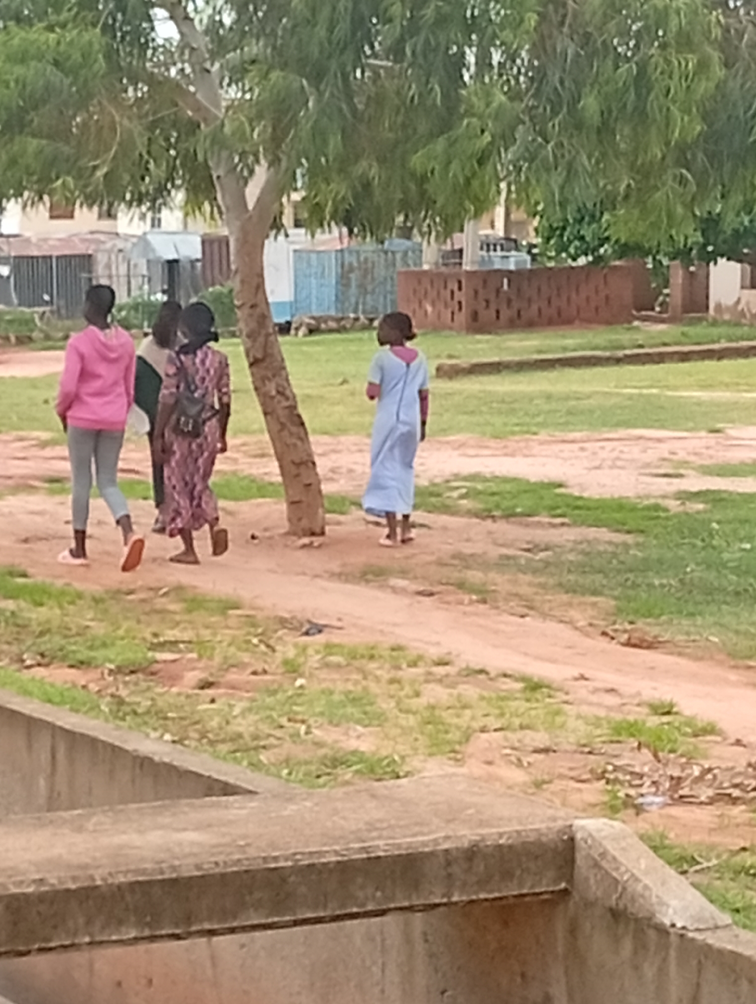 In Tumfure, Nigeria, three young females walk away from the camera on a dirt path in a grassy area. The female on the left wears a pink hooded sweatshirt and gray pants. The middle female wears a patterned dress and a backpack. The female on the right wears a light blue dress. Behind them, a tree with green leaves is prominent. In the background, there are buildings, brick structures, and fencing, suggesting an urban or semi-urban environment. The ground is a mix of dirt and patchy grass.