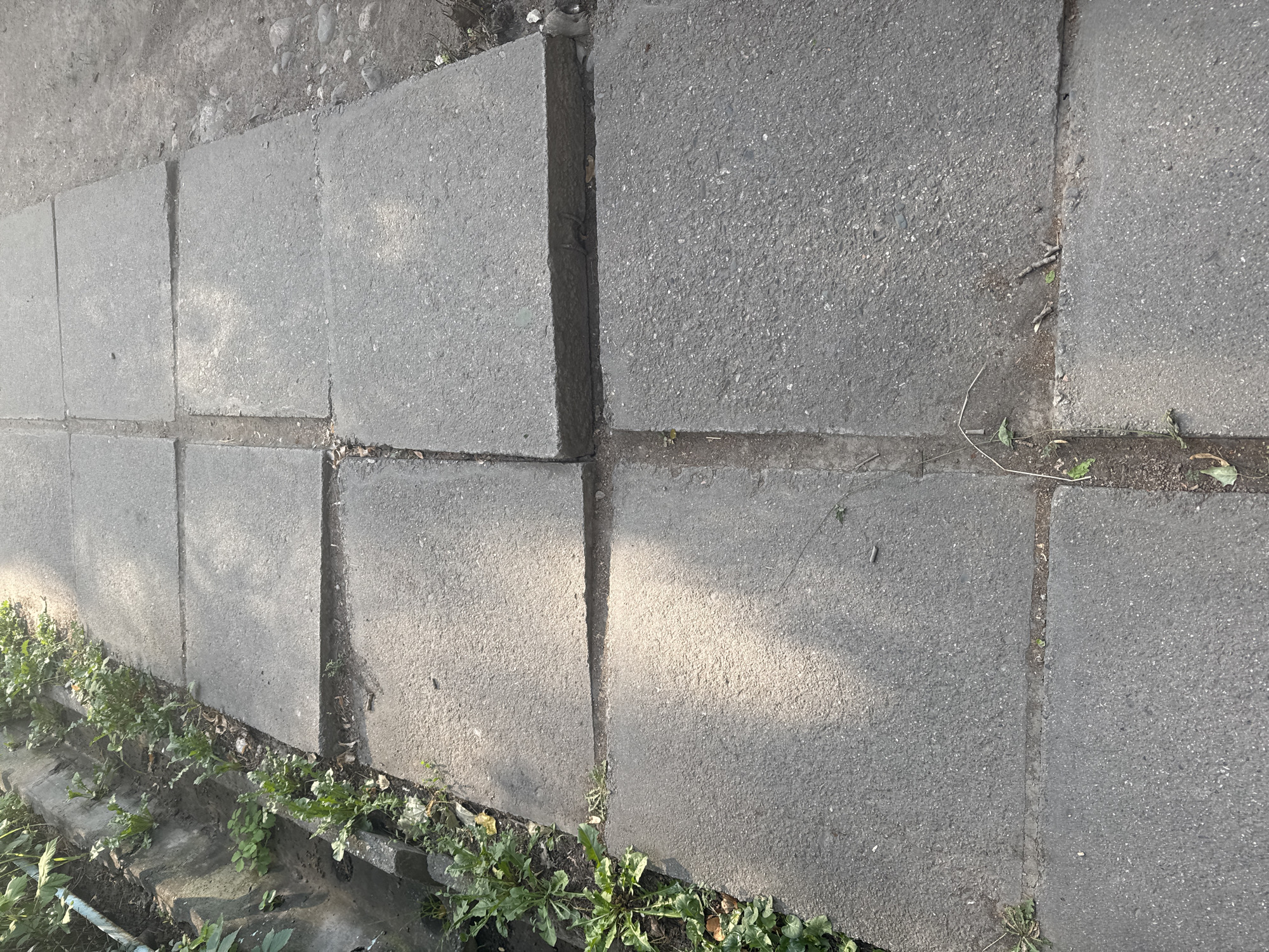 A close-up, overhead view shows a pathway made of square concrete slabs, arranged in a grid pattern. The slabs are grey and appear weathered, with visible cracks and uneven surfaces in places. To the left of the pathway, a concrete drainage channel is visible, overgrown with green weeds and some fallen leaves. The ground to the right of the pathway is a mix of dirt and small stones. Sunlight casts shadows across the concrete slabs, indicating an outdoor setting. The scene is set in Bishkek City, Kyrgyzstan.