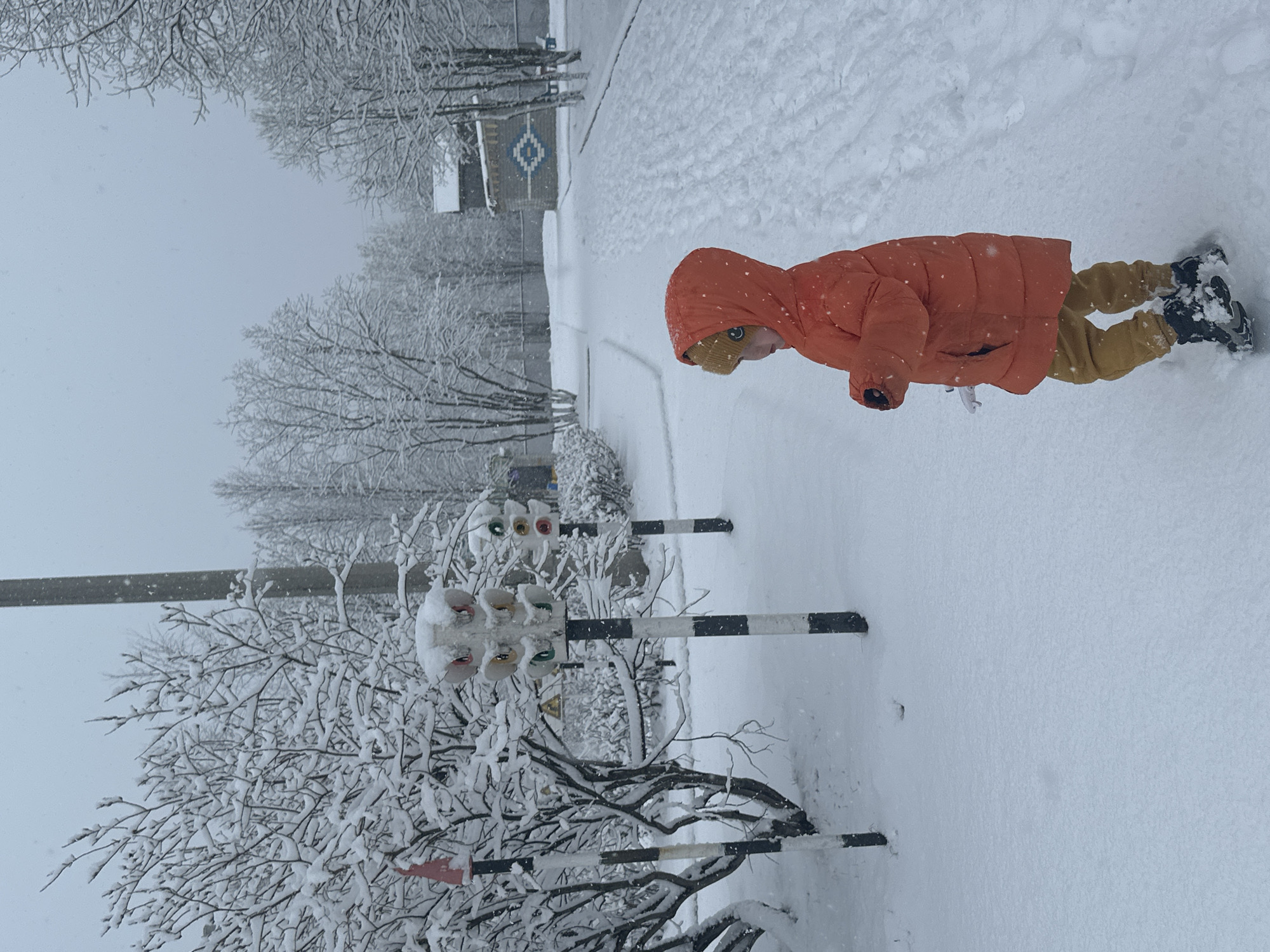 A young person wearing an orange jacket and yellow pants is in a snowy area in Unknown, Unknown. A path covered in snow is visible. Black and white striped poles are also present with traffic lights on top of the poles. The trees and bushes are covered in snow. A building can be seen in the background.