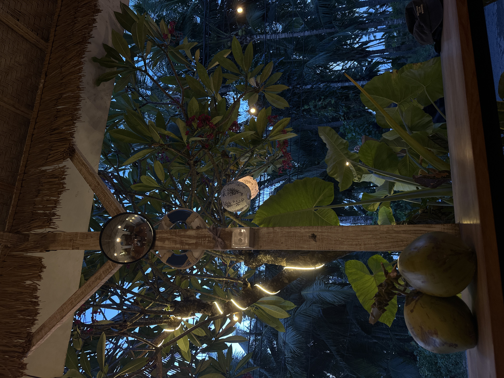 The image shows a view looking upwards, likely from within a structure in Nusa Penida, Indonesia. A thatched roof is visible on the left. A wooden beam runs horizontally across the middle of the frame, adorned with a mirror, a decorative globe, and several small lights. Trees and foliage are visible through an opening in the roof. Two coconuts are resting on the right. The sky is dark, indicating it is either dusk or nighttime. A dark cap is partially visible in the upper right corner.