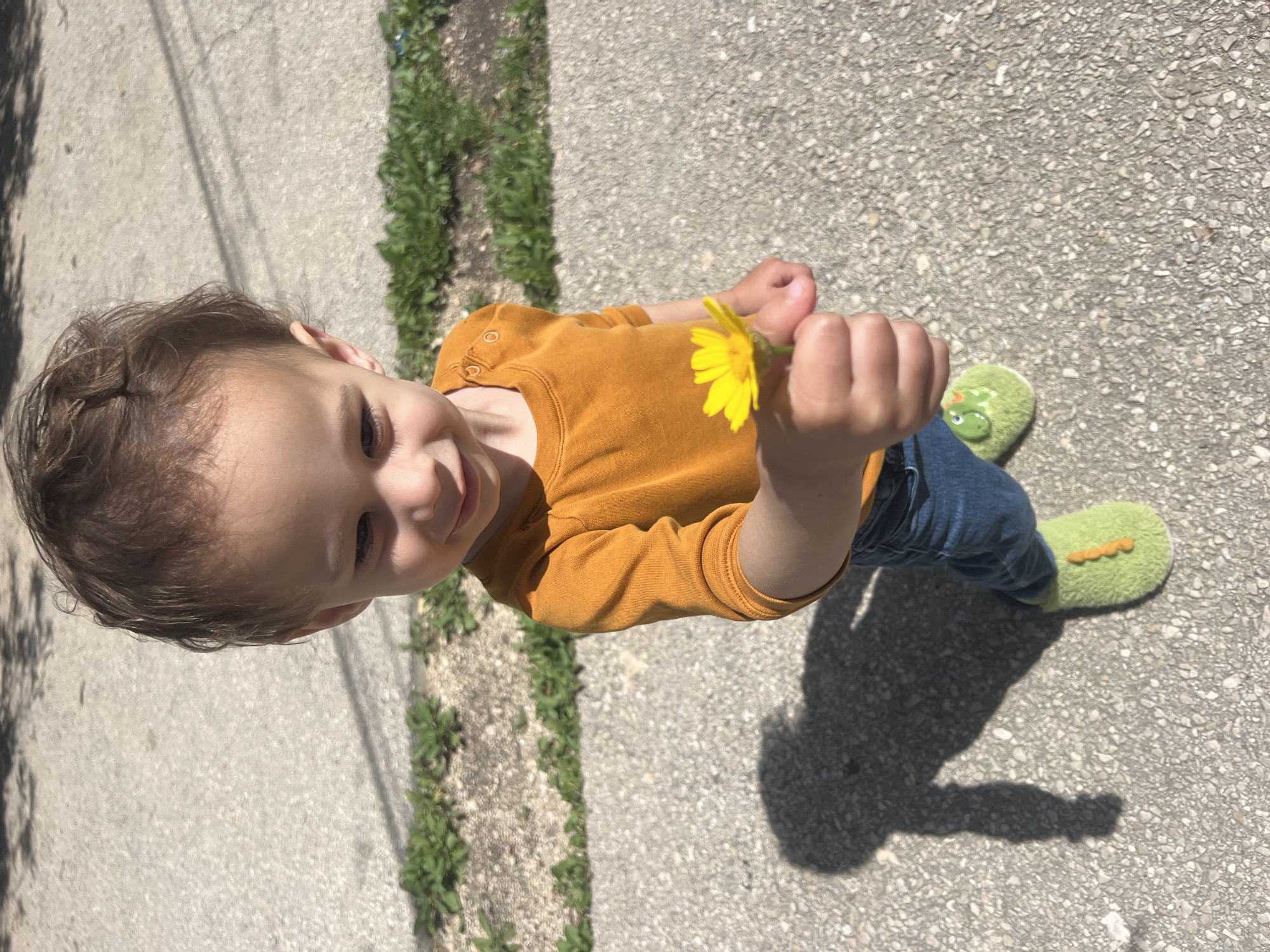 A young child stands on a sidewalk, holding a yellow flower in their right hand. The child is wearing a mustard-colored long-sleeved shirt and blue jeans, with green, textured slippers on their feet. The sidewalk is concrete, with a strip of green foliage growing along one edge. The scene is bathed in sunlight. There is no information about the location being Kiryat Bialik, Israel in the image.