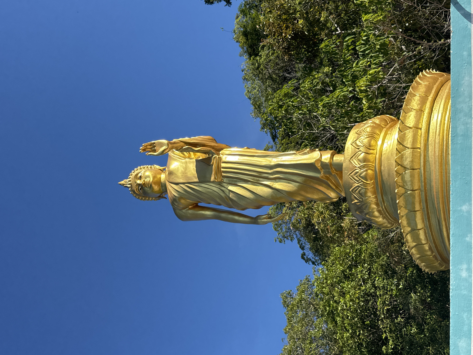 A low-angle, full-shot photograph captures a golden Buddha statue standing tall against a clear blue sky. The statue is adorned in a saffron robe and is positioned on a decorative golden pedestal, which in turn rests on a teal-colored ledge or wall. Behind the statue, a dense canopy of lush green trees creates a natural backdrop, with some bare branches interspersed within. The image appears to be taken outdoors, likely in a temple or a sacred site, given the presence of the Buddha statue. The lighting suggests it is daytime, with the sun illuminating the golden surface of the statue, causing it to gleam. The setting is peaceful and serene. The location is specified as Ko Pha Ngan, Thailand, a well-known island district in Surat Thani Province, famous for its beaches, nightlife, and spiritual sites.