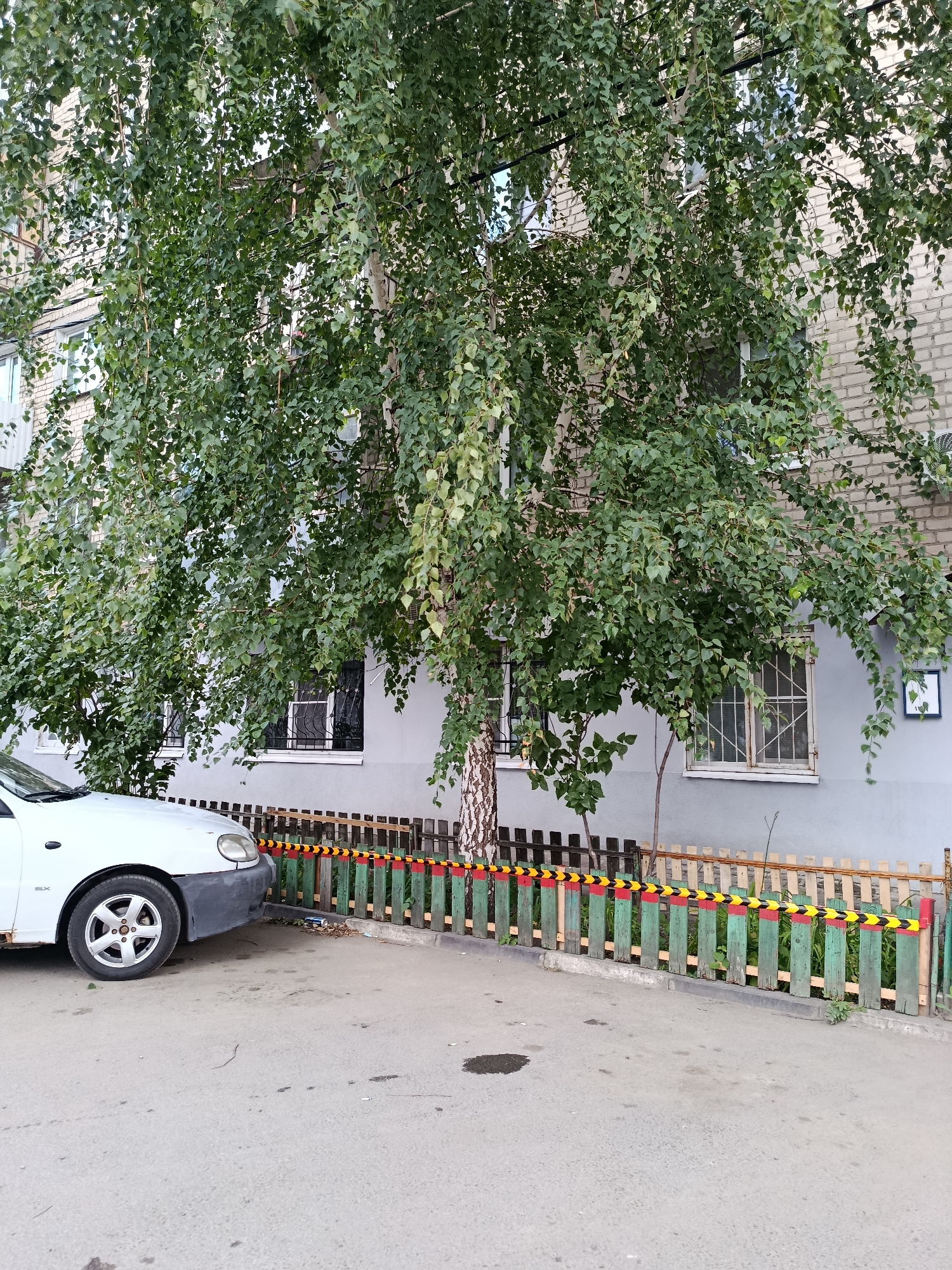 A white Daewoo car is parked next to a wooden fence in front of a brick apartment building. The fence is green with red and yellow warning tape. A large tree with green leaves is growing in front of the building. The scene appears to be in a residential area, possibly in the city of Saratov, Russia.