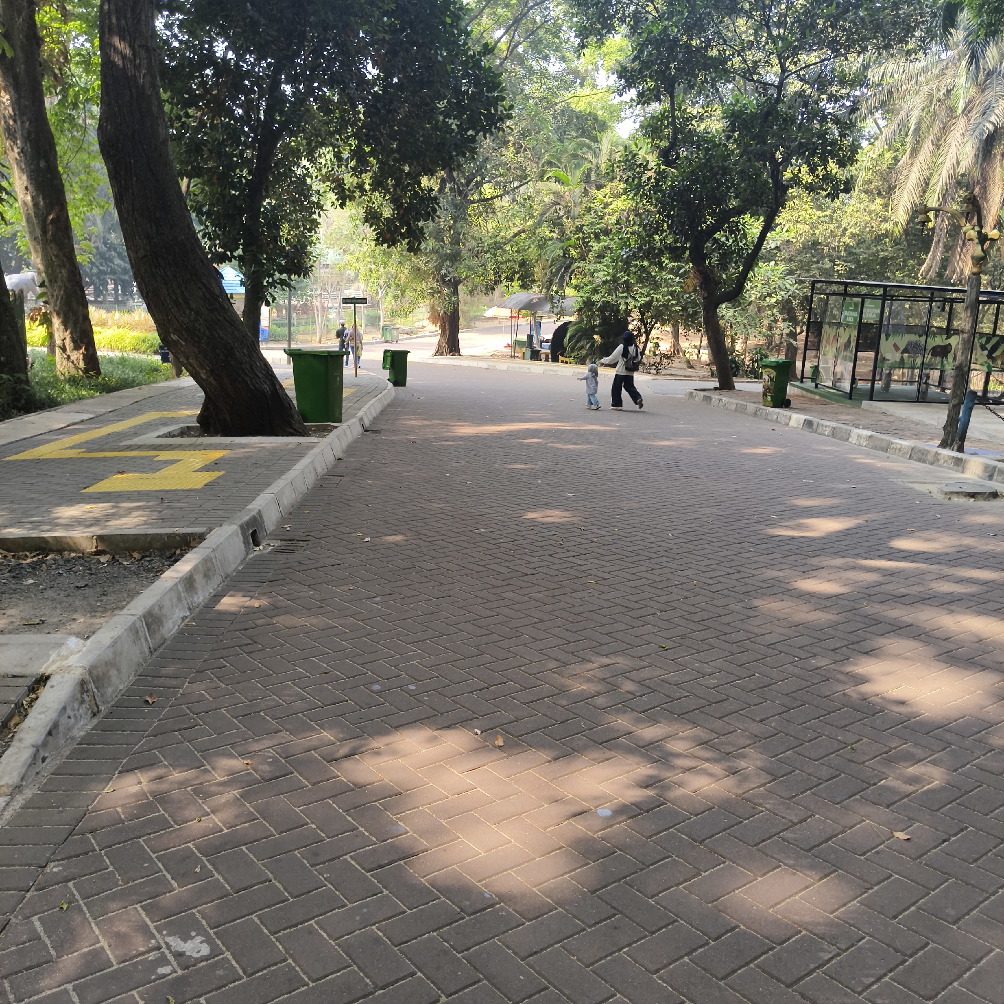 The image captures a paved pathway in what appears to be a zoo or park environment. The pathway is constructed with dark grey interlocking brick pavers, laid in a herringbone pattern. Sunlight filters through the surrounding lush green trees, casting dappled shadows on the path. On the left side of the path, there is a yellow painted arrow and a concrete curb, with dry leaves scattered near the base of a large tree. A green trash bin is visible on the pathway.
Further down the path, a person wearing a dark headscarf and carrying a backpack walks away from the camera, leading a small child who is also walking away. Another person is seen walking in the distance on the same path.
To the right, a fenced enclosure, possibly an animal exhibit, is visible with some signage. The enclosure has a metal frame and glass panels, and appears to house animal graphics. More green trash bins are present along this side of the path. Palm trees and other tropical vegetation surround the area. The overall scene suggests a public outdoor recreational space.
Based on the visual cues of lush tropical vegetation, the presence of an animal enclosure, and the characteristic architecture of a zoo or park pathway, this scene is likely located in the Ragunan Zoo, in Pasar Minggu, South Jakarta, Indonesia.