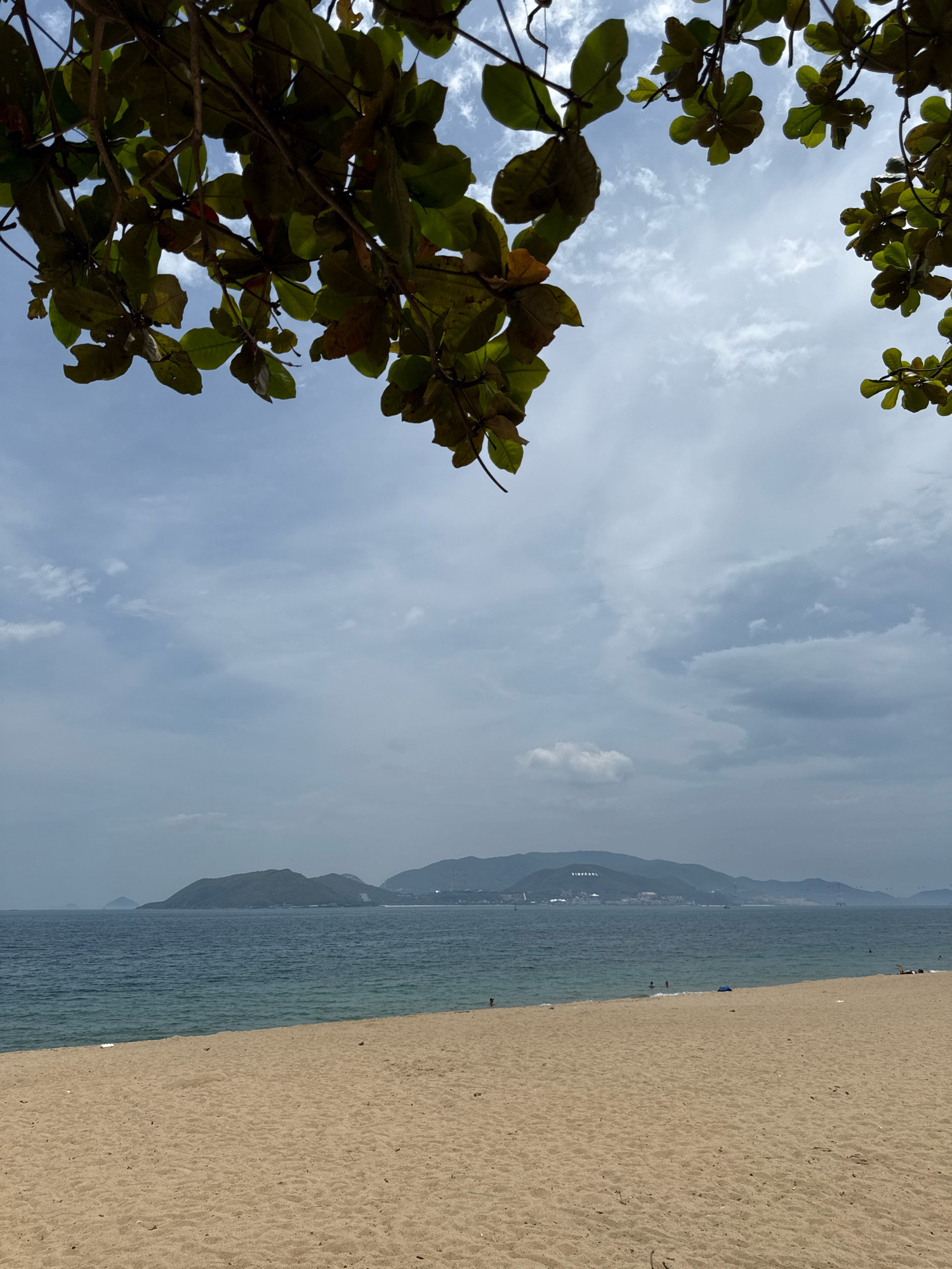This is an eye-level, outdoor, full shot of a beach scene on a cloudy day in Nha Trang, Vietnam. In the foreground, a sandy beach stretches across the lower portion of the frame. The sand is light brown and textured, with some scattered debris.
In the middle ground, the calm, blue ocean meets the shore. The water is clear enough to see small ripples on the surface. A few people can be seen in the water and on the distant sand, appearing as small figures.
The background is dominated by a hazy, mountainous landscape with some buildings visible on the slopes, suggesting a city or resort area. A prominent sign that reads "VINPEARL" is visible on the side of one of the mountains. The sky above is overcast with scattered clouds.
Overhead, in the upper portion of the image, green leaves and branches of a tree frame the scene, creating a natural canopy and adding a sense of depth. The leaves are dark green and appear healthy, with some hints of brown on the edges, suggesting they might be slightly older or have been exposed to sunlight.