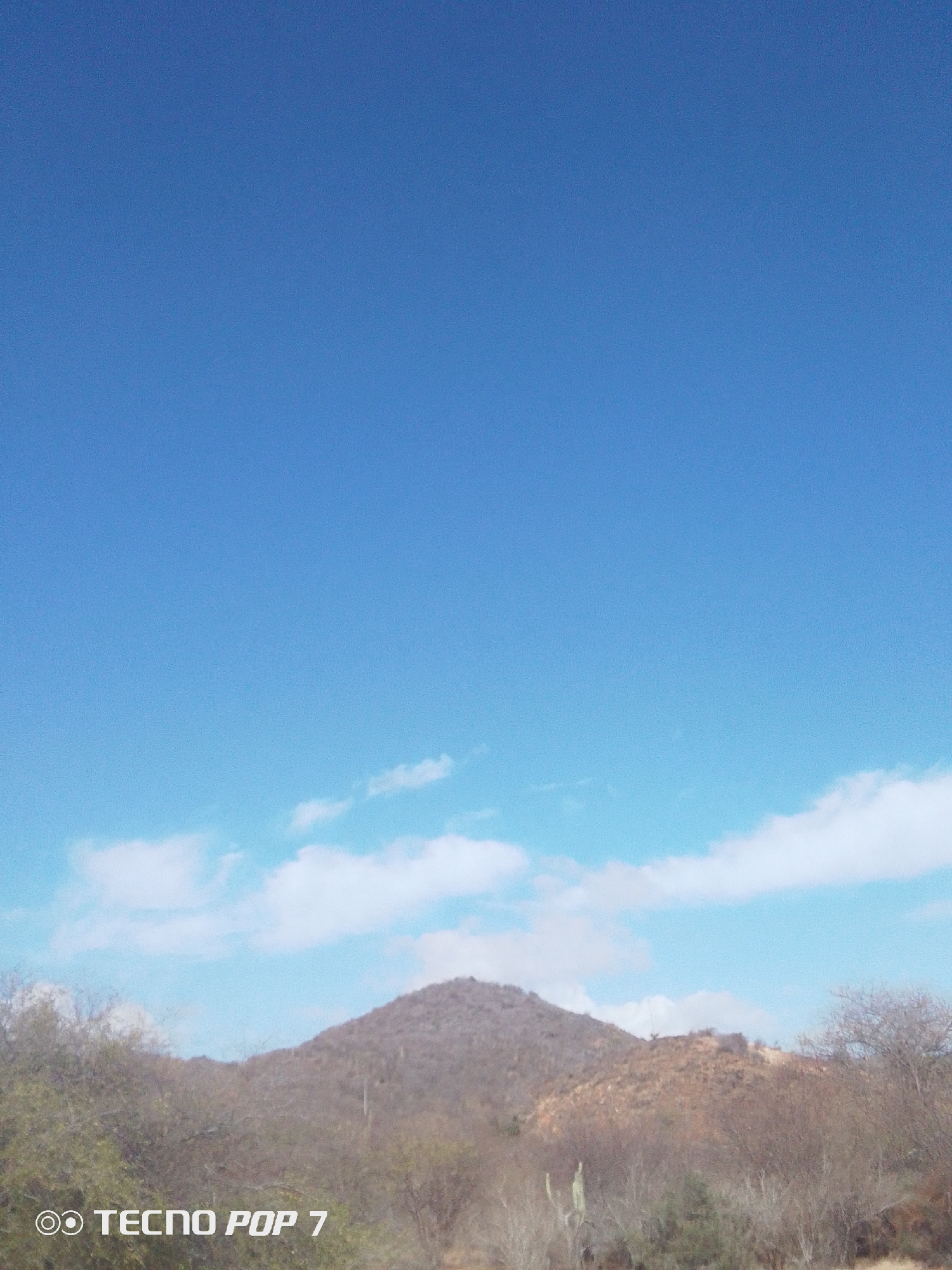 A landscape photograph taken during the day features a mountain in the foreground. The mountain is mostly gray and brown in color, with some sparse vegetation on its slopes. In front of the mountain, there are bushes and scrub vegetation. The sky is a clear, bright blue with scattered white clouds. The overall lighting indicates a sunny day. The location in Altagracia, Venezuela, is not definitively verifiable from the image alone but is assumed based on the prompt.