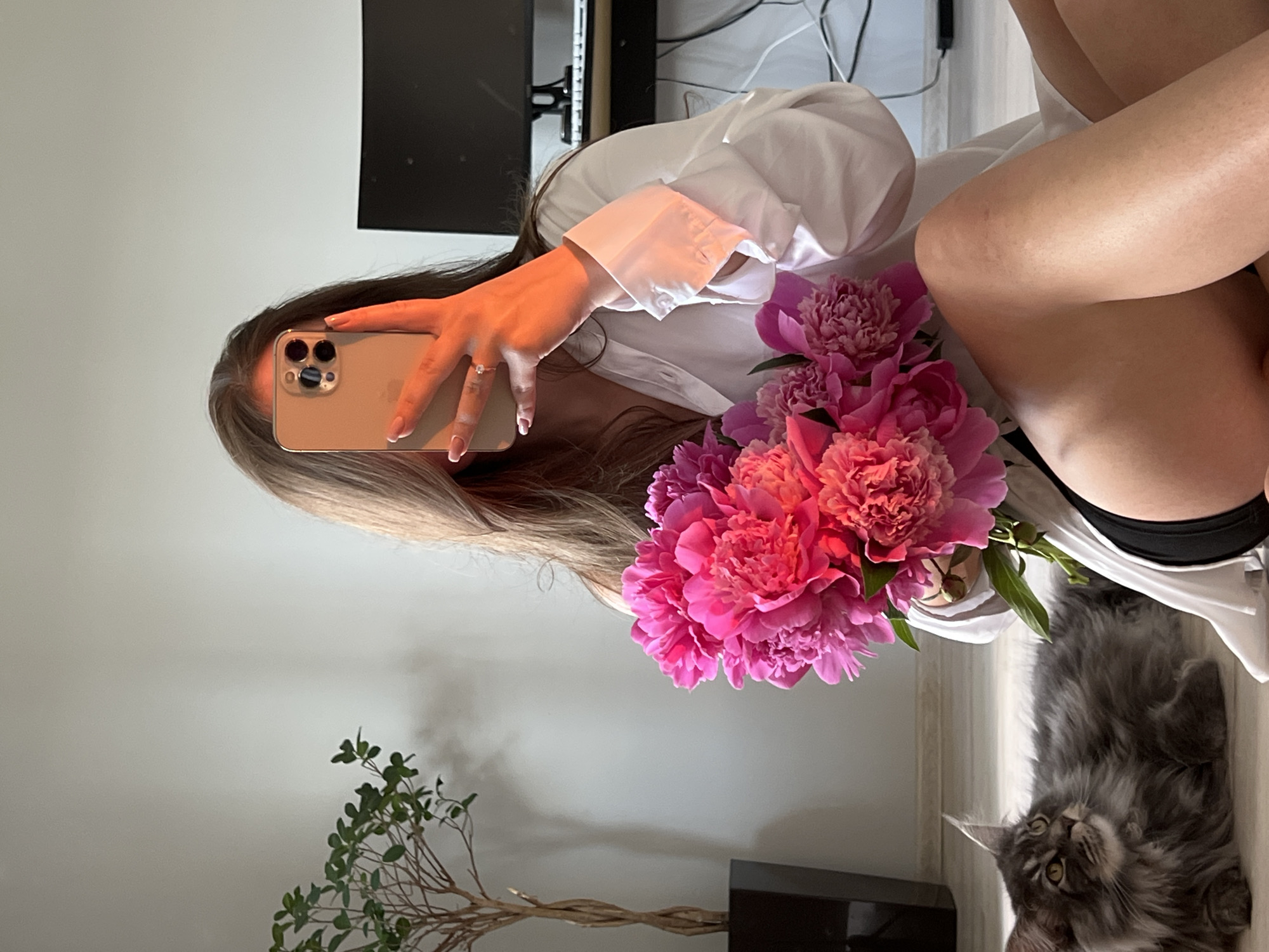 The image depicts a young woman sitting on the floor, taking a selfie with her phone. She is holding a bouquet of bright pink peonies and is wearing a white oversized shirt and black bottoms. To her left, a long-haired grey cat lies on the floor, looking towards the left of the frame. In the background, a potted plant with green leaves stands on the left, and a desk with a computer monitor and keyboard is visible on the right. The lighting suggests it is daytime, with warm light casting shadows on the wall and a soft glow on the woman's face and hand. The environment appears to be an indoor domestic setting.