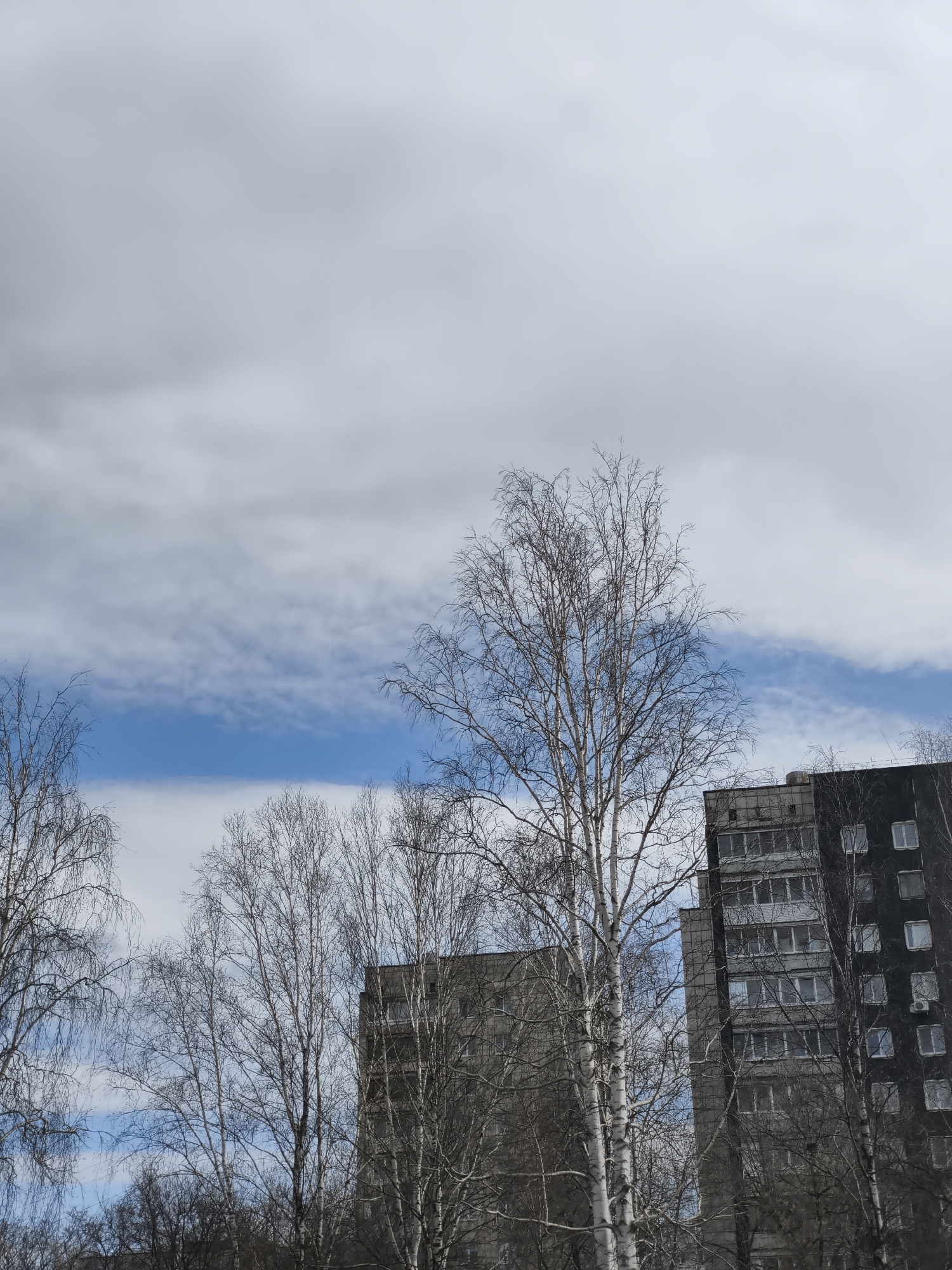 The image shows a view of the sky partially obscured by buildings and bare trees. The sky is characterized by a horizontal band of blue visible between layers of white and grey clouds. The foreground features a group of deciduous trees with bare branches, suggesting either a winter or early spring season. These trees partially obscure two buildings in the background. One building is grey and the other is dark with rows of windows. The location appears to be a city in an unknown location.