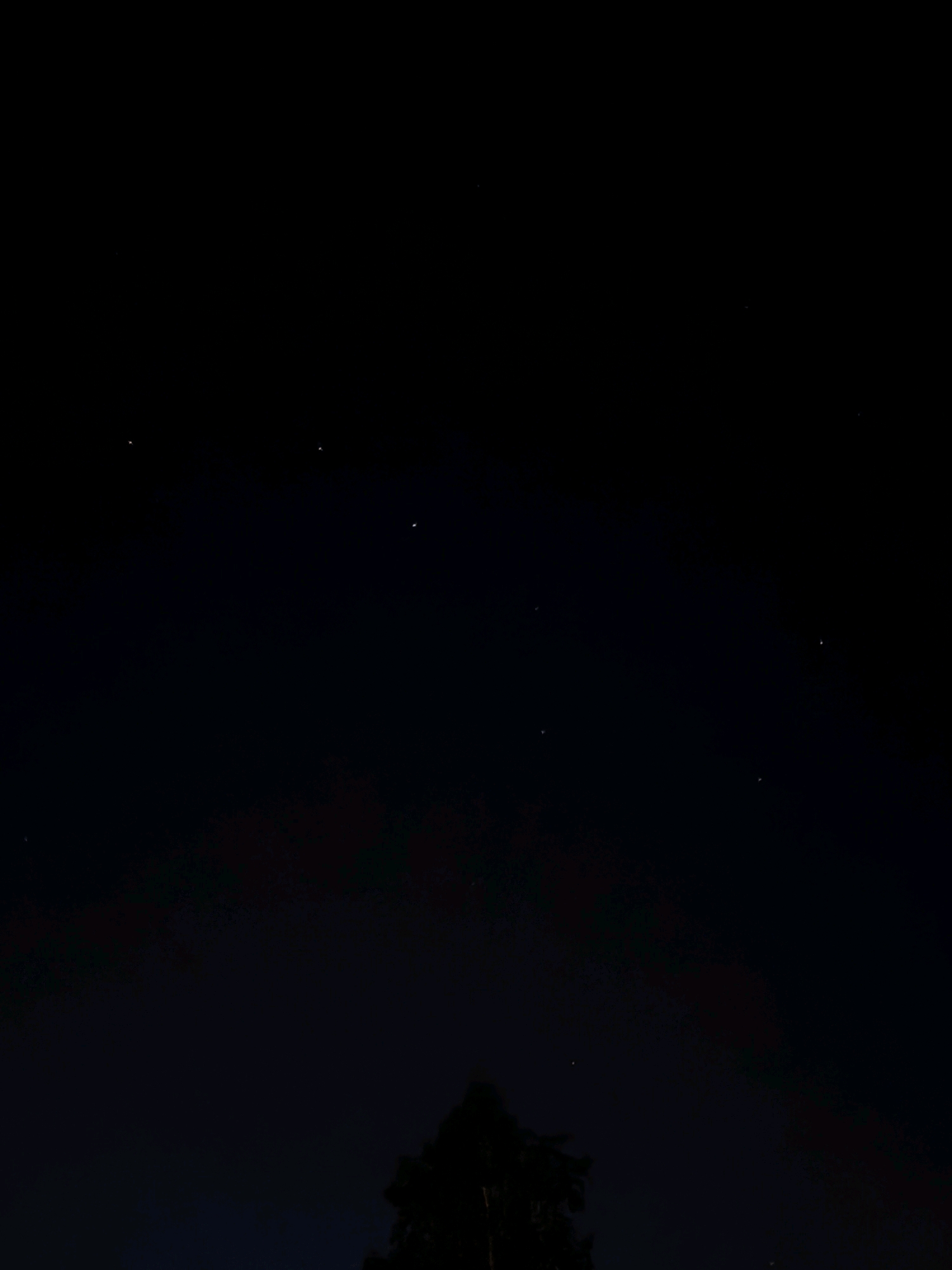 The image depicts a dark, clear night sky with visible stars. The silhouette of a tree is visible at the bottom of the frame, suggesting an outdoor setting. The overall impression is one of a peaceful, natural environment under a starry expanse. The image does not contain any discernible elements that would allow for a specific location within Палыкавіцкі сельскі Савет, Belarus to be identified. There are no people, animals, or man-made structures that provide geographical context.