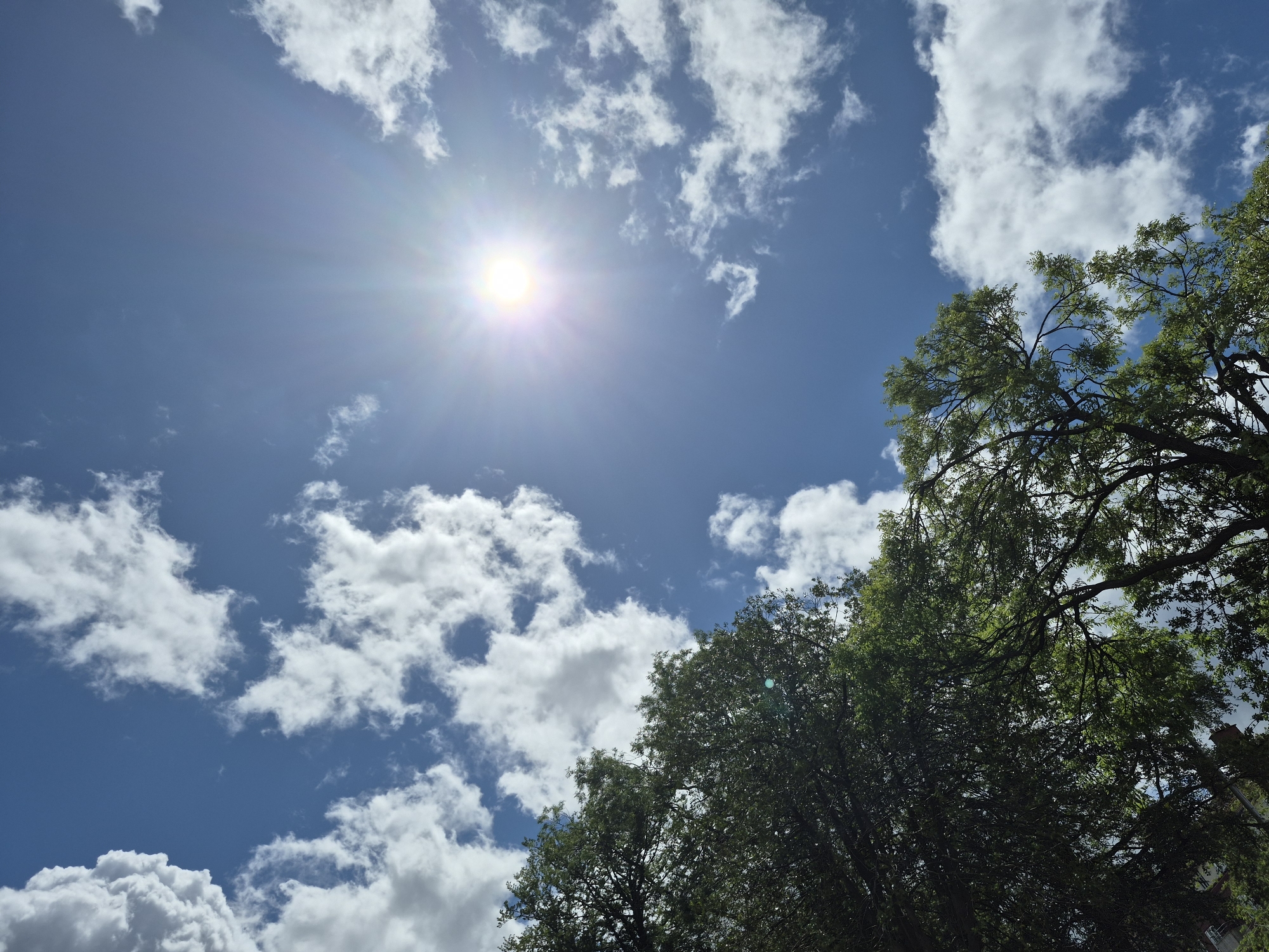 A low-angle shot captures a bright, sunny sky with scattered white clouds. The sun is a prominent feature, positioned in the upper right quadrant, casting a visible glare and sunburst effect. Lush green tree foliage occupies the lower left portion of the frame, with branches and leaves silhouetted against the sky. The scene appears to be an outdoor environment, likely a park or residential area, given the presence of trees. The lighting suggests it is daytime. There are no people or animals visible in the image. The image does not provide any specific visual cues that would allow for the identification of the location within Sandwell, United Kingdom.