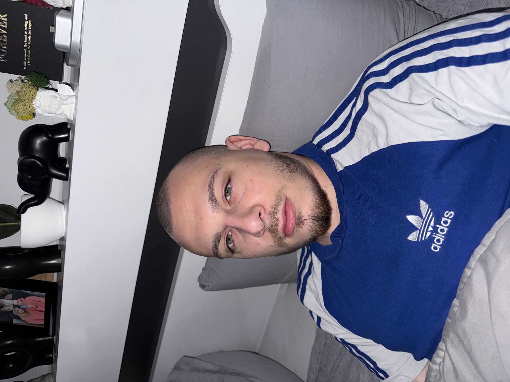 A mid-shot depicts a man with a close-shaven head and a short beard, lying on a gray pillow or cushion. He is wearing a blue Adidas shirt with white stripes on the sleeves and a white Adidas logo on the chest. To the left of the man is a white shelf unit with black accents. The shelf holds decorative items, including a black elephant figurine, a white pot with a green plant, and a black decorative box with the word "FOREVER" printed on it, with a secondary text below it, "At this moment, the heart is racing, ou a love from the family has began". The photograph is taken at an angle, with the man's face and upper torso in focus. The location in the city of Stara Zagora, Bulgaria cannot be determined.